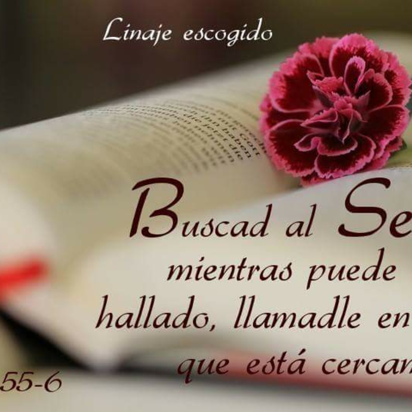 Episode 182: Buscad a Dios mientras pueda ser hallado