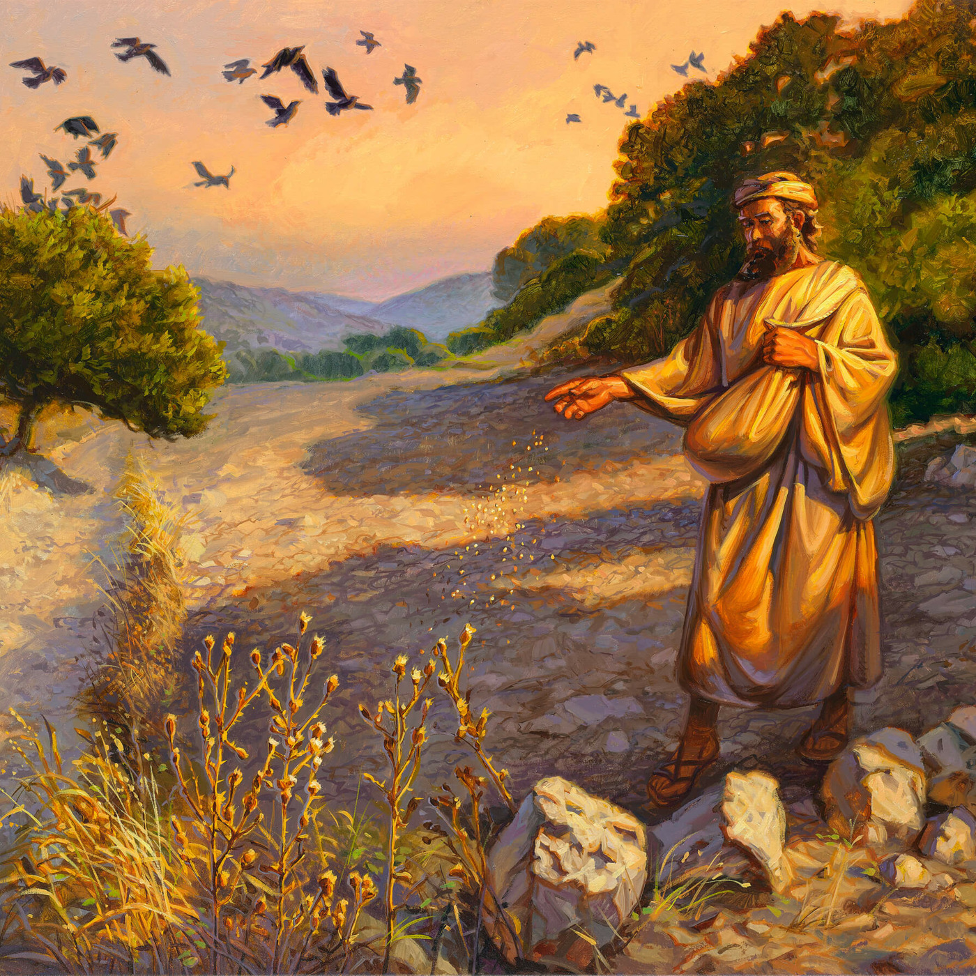 Episode 189: El Sembrador