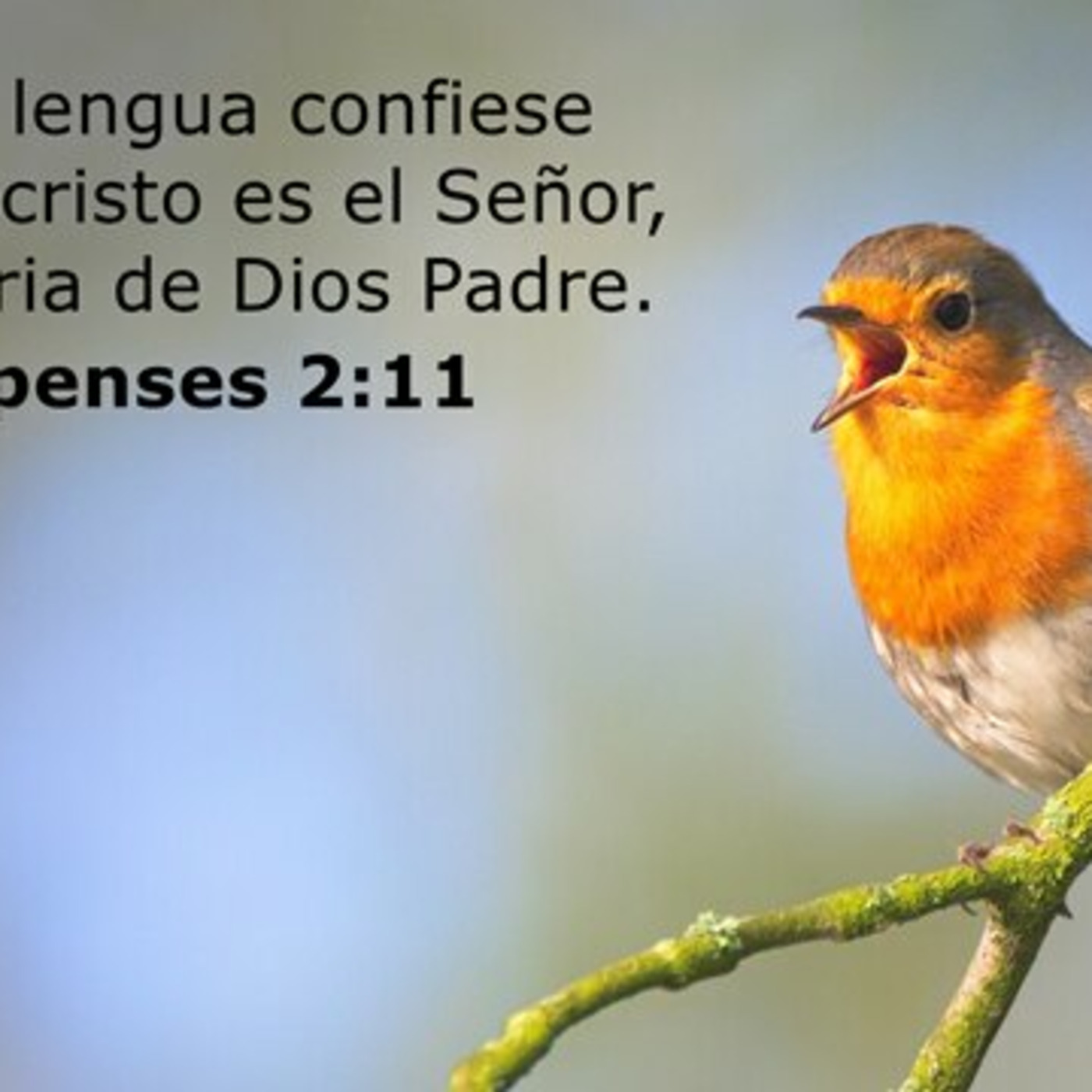 Portada de Buscando a Dios