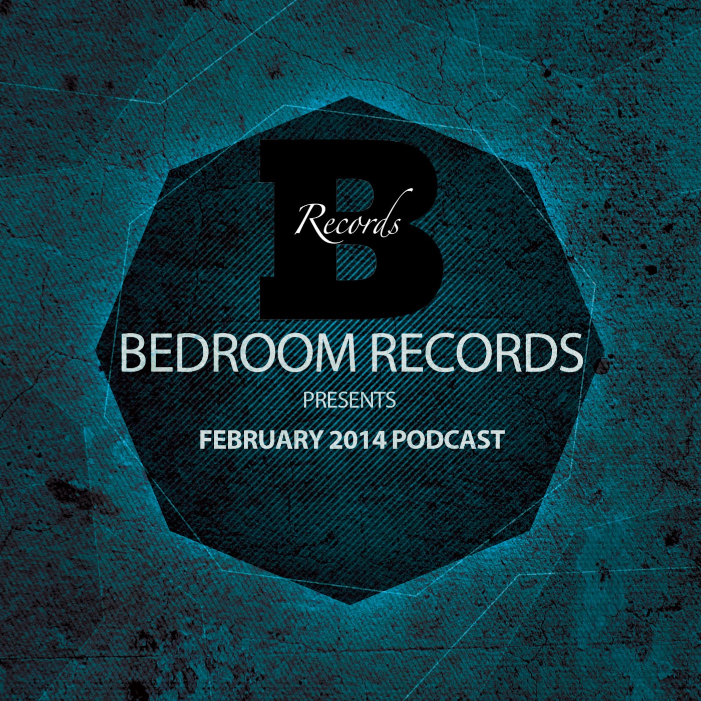 Bedroom Records Podcast February 2014