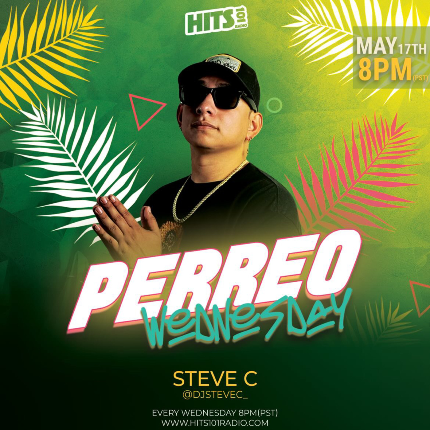 Episode 1: DjSteveC - Hits101 Radio - 
