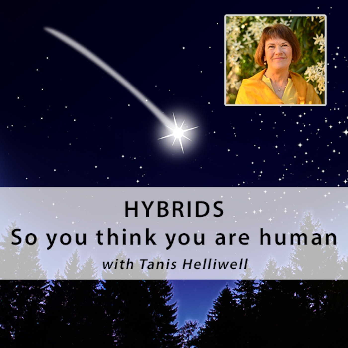 HYBRIDS: So you think you are human (Intro)
