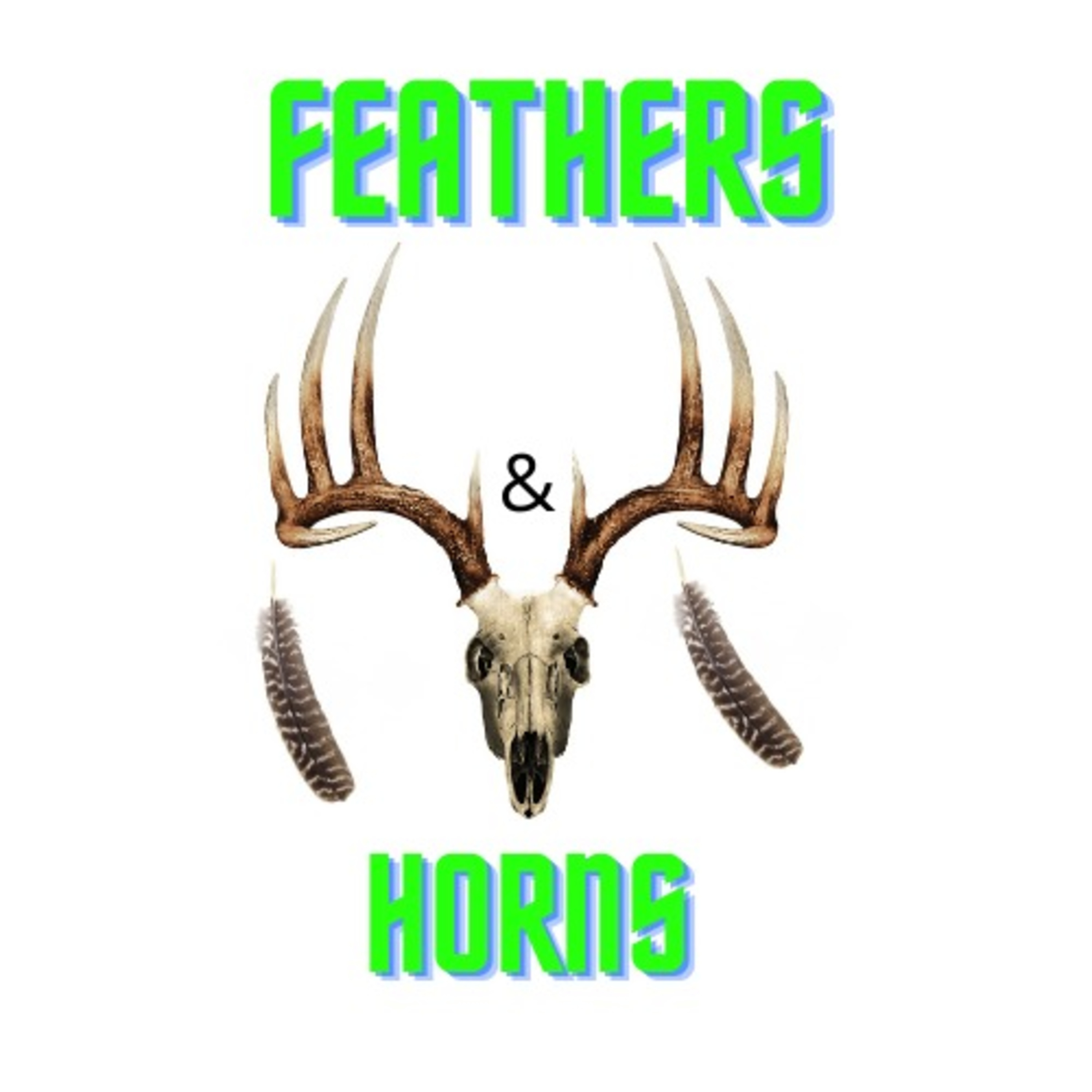 Feathers & Horns