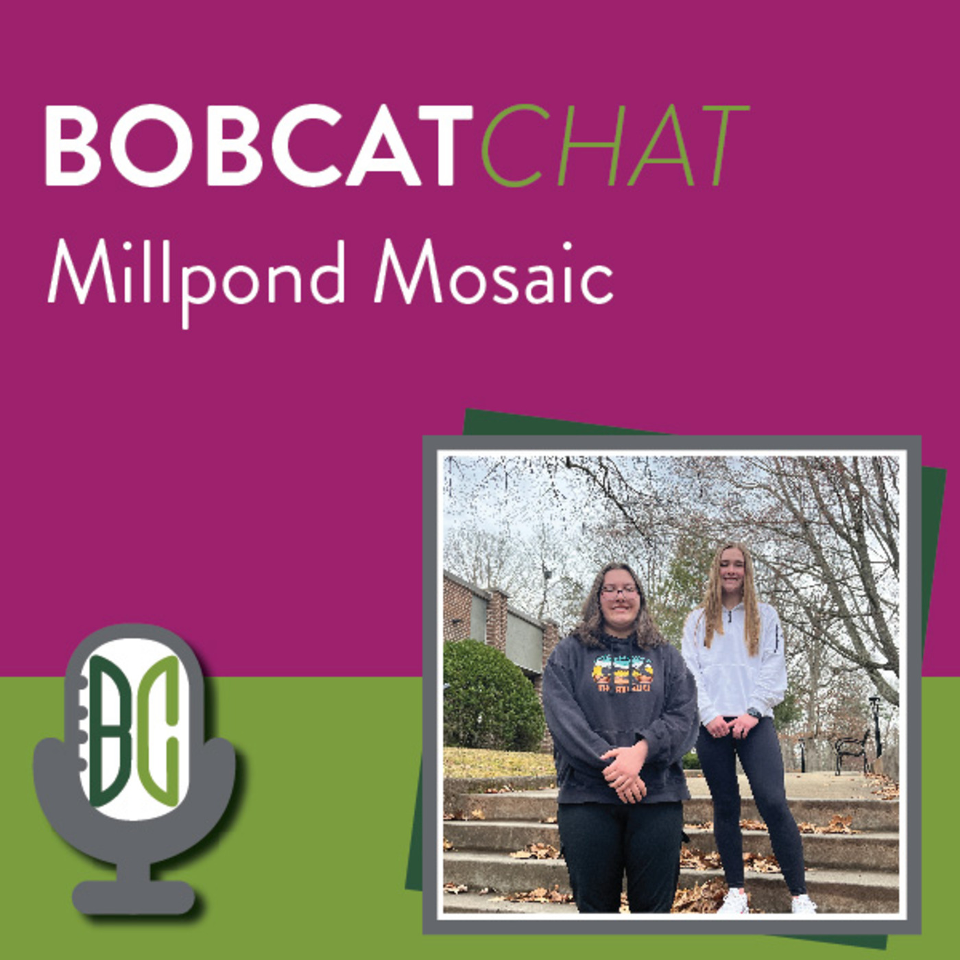 Episode 12: Millpond Mosaic