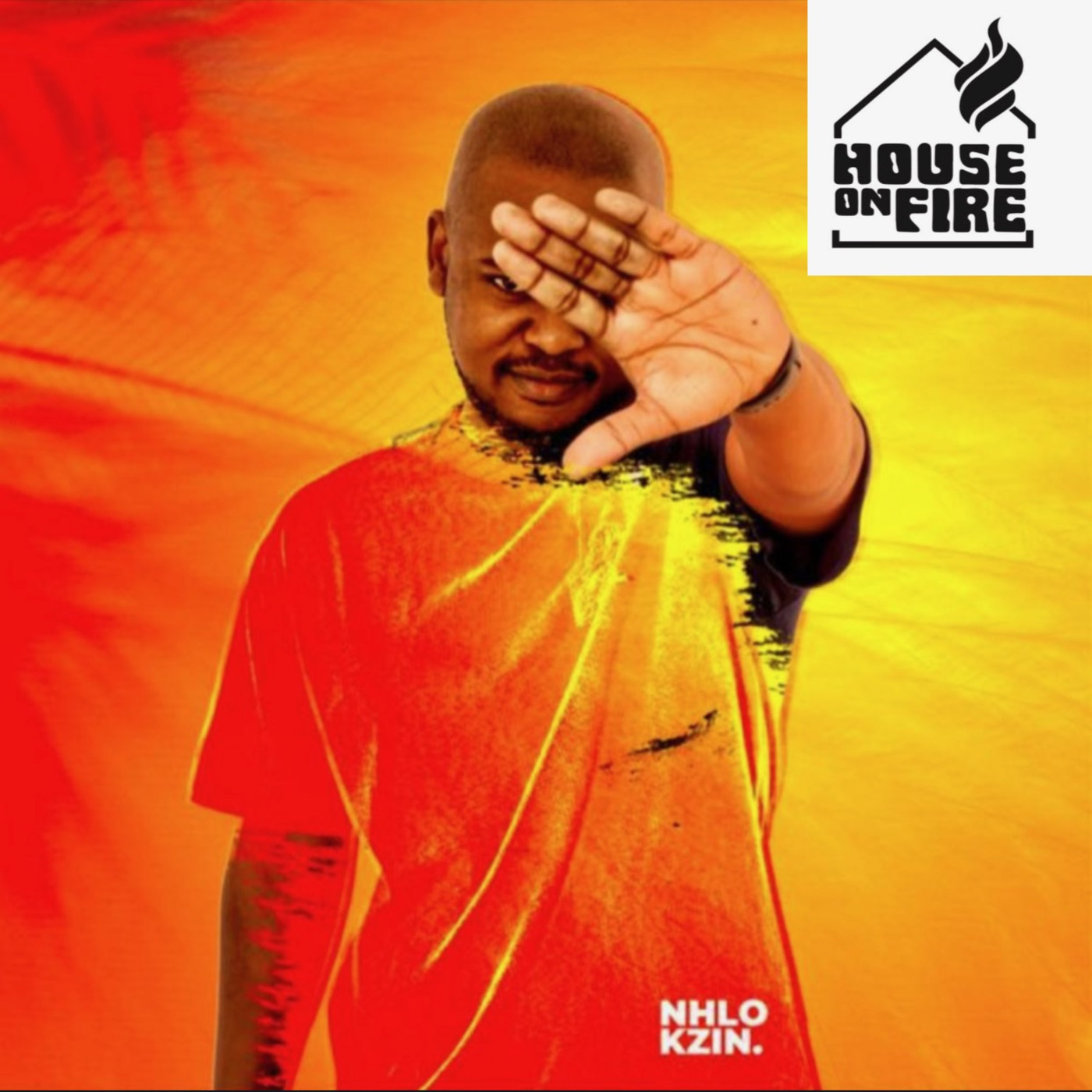 Episode 87: House On Fire Deep Sessions 87 (NHLOKZIN)