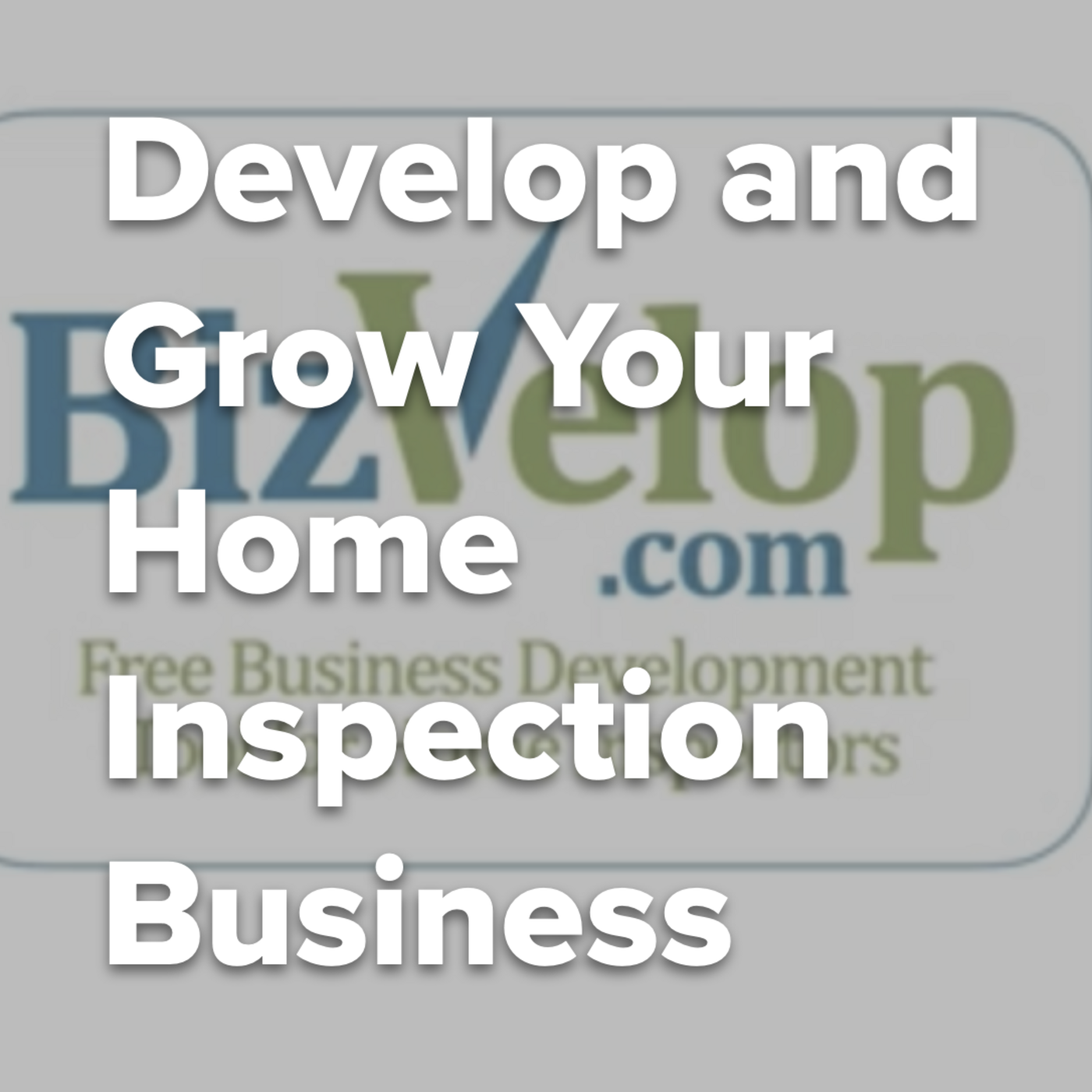 Episode 306: Develop and Grow Your Home Inspection Business