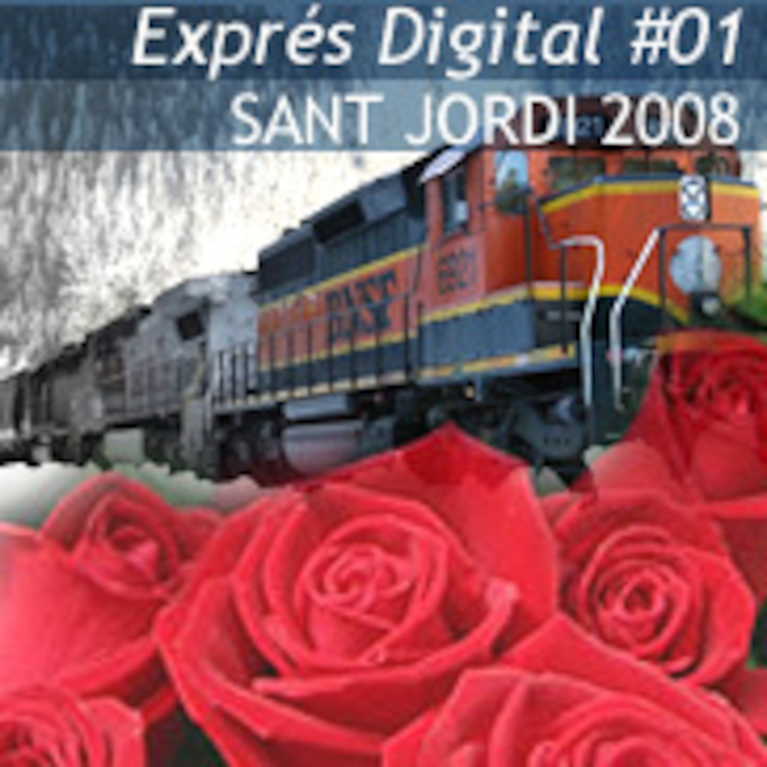 Exprés Digital 01 (21/10/2008) - Llibres i roses