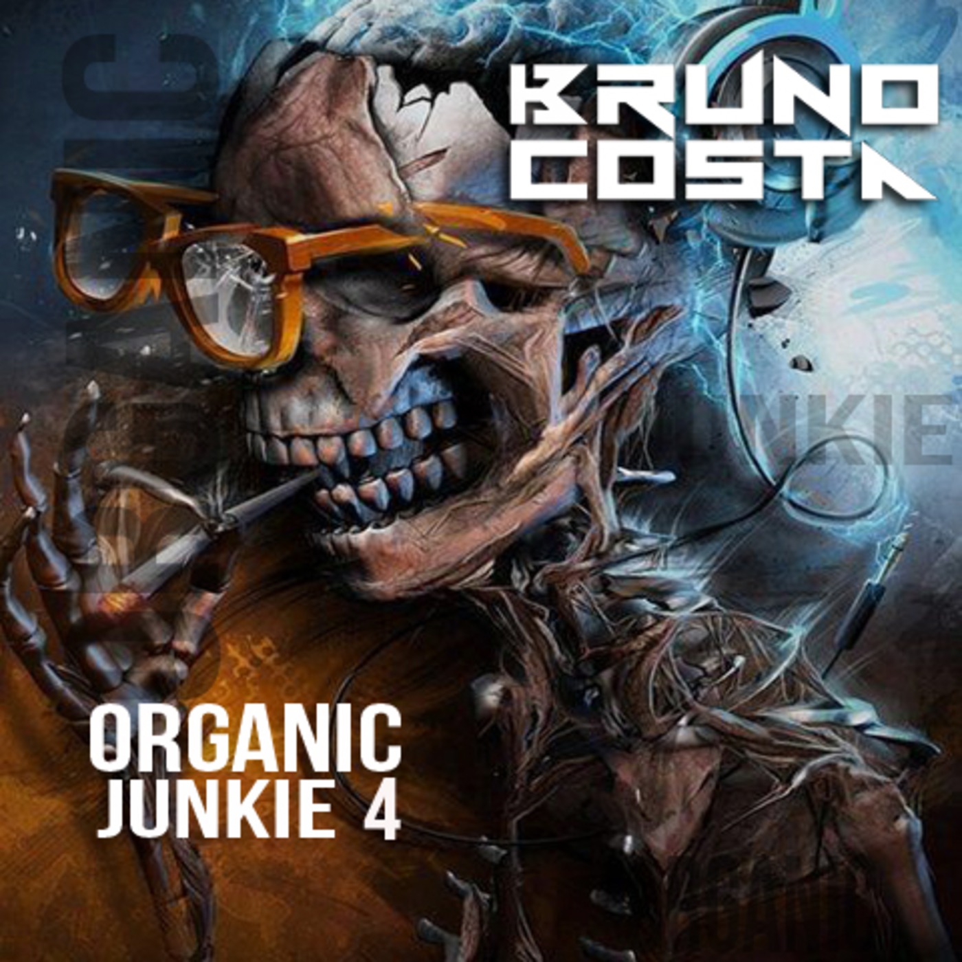 Organic Junkie 4