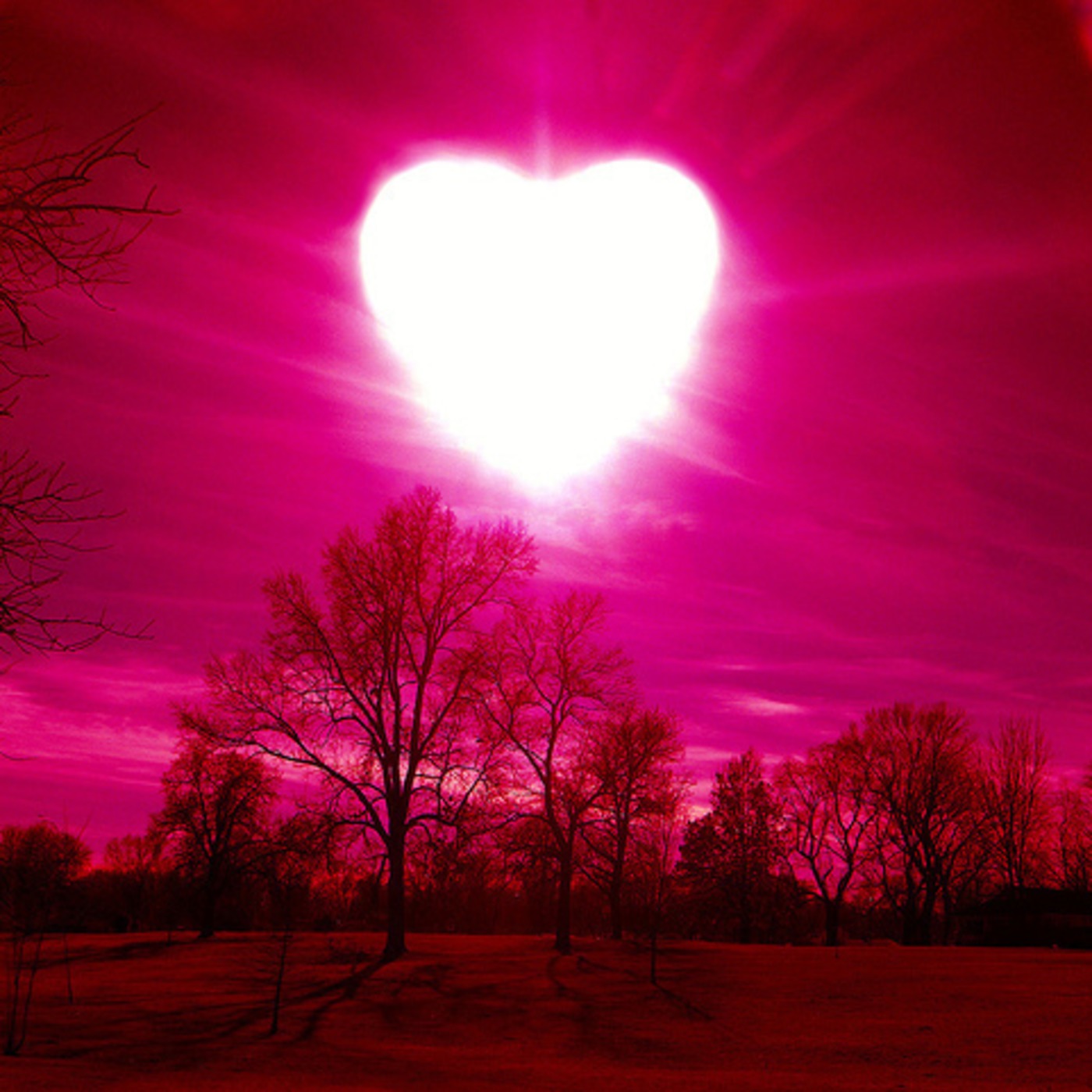 Love's Birthday- Valentine's Special