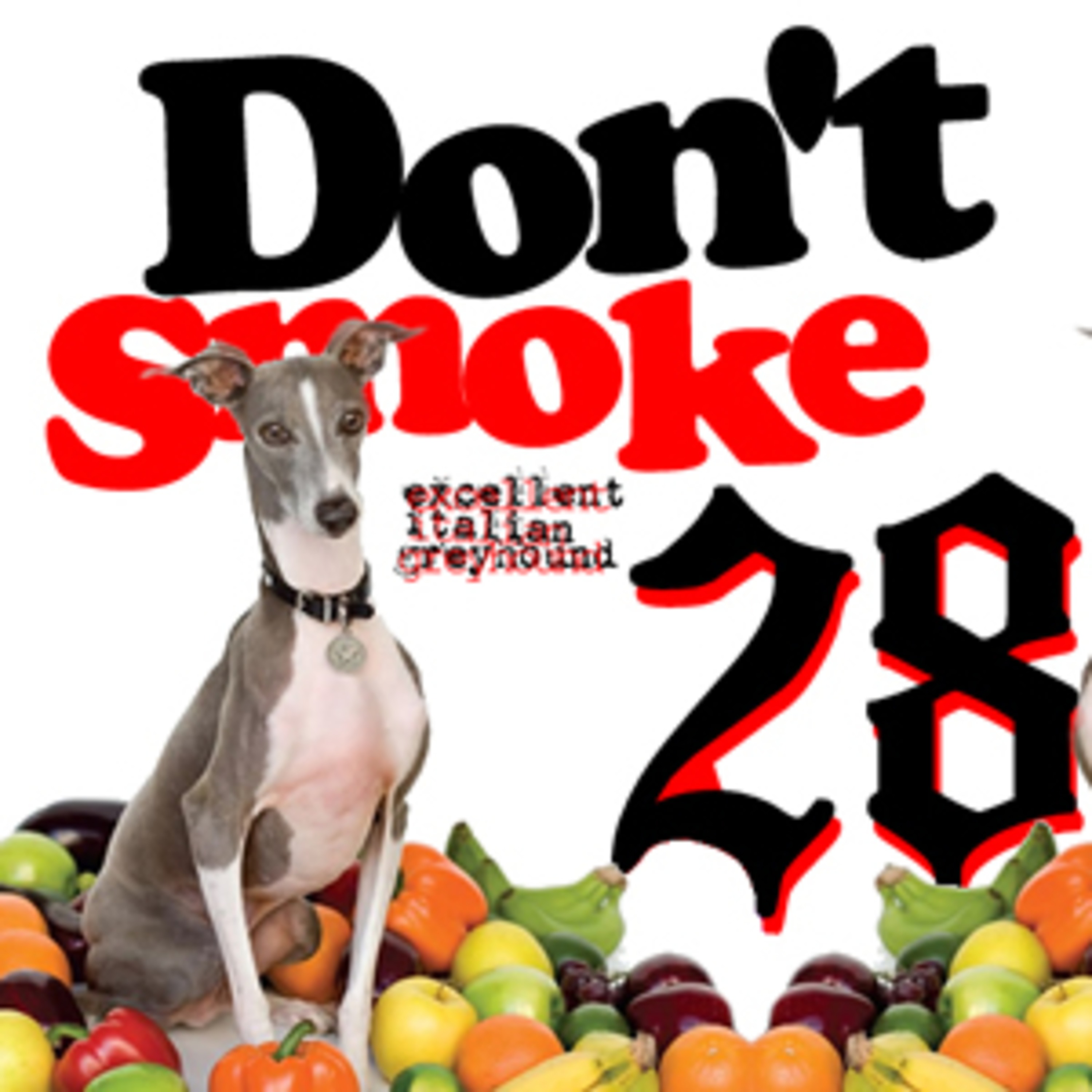 Episode 28: Excellent Italian Greyhound episode artwork