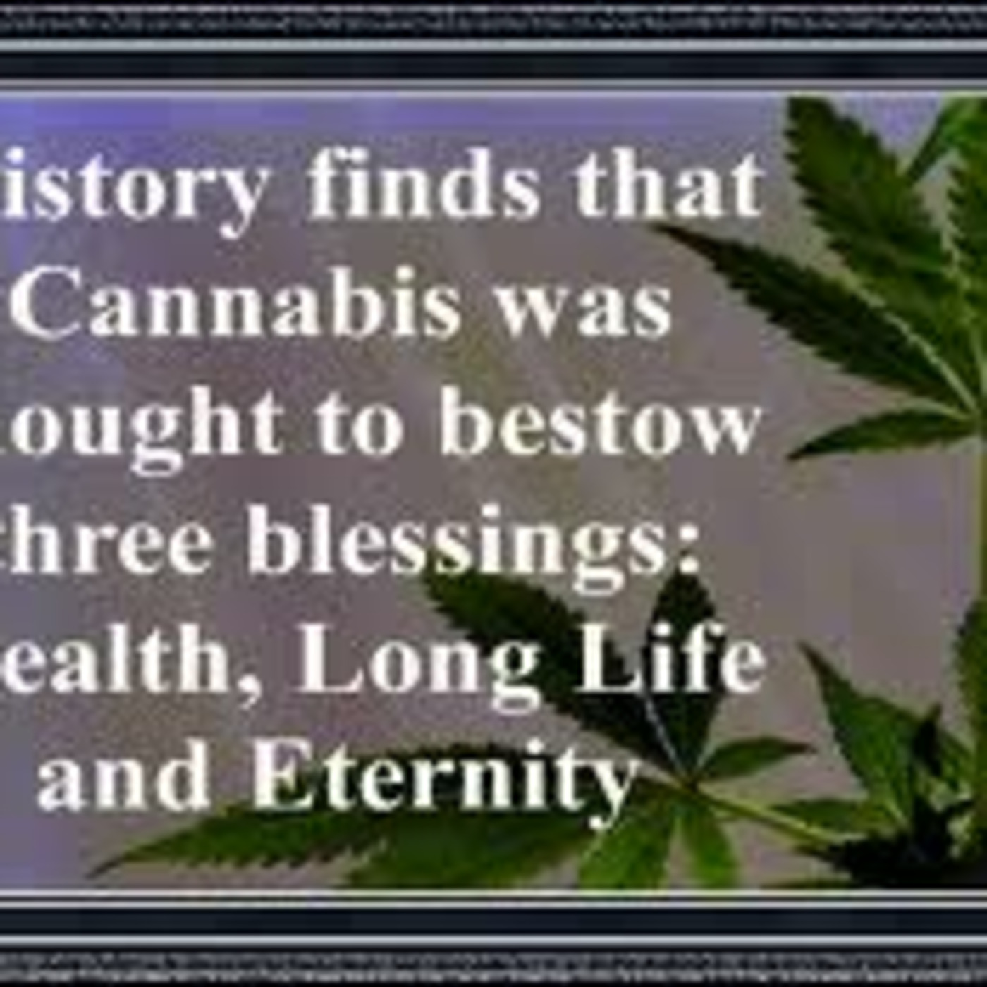 Cannabis Thursday