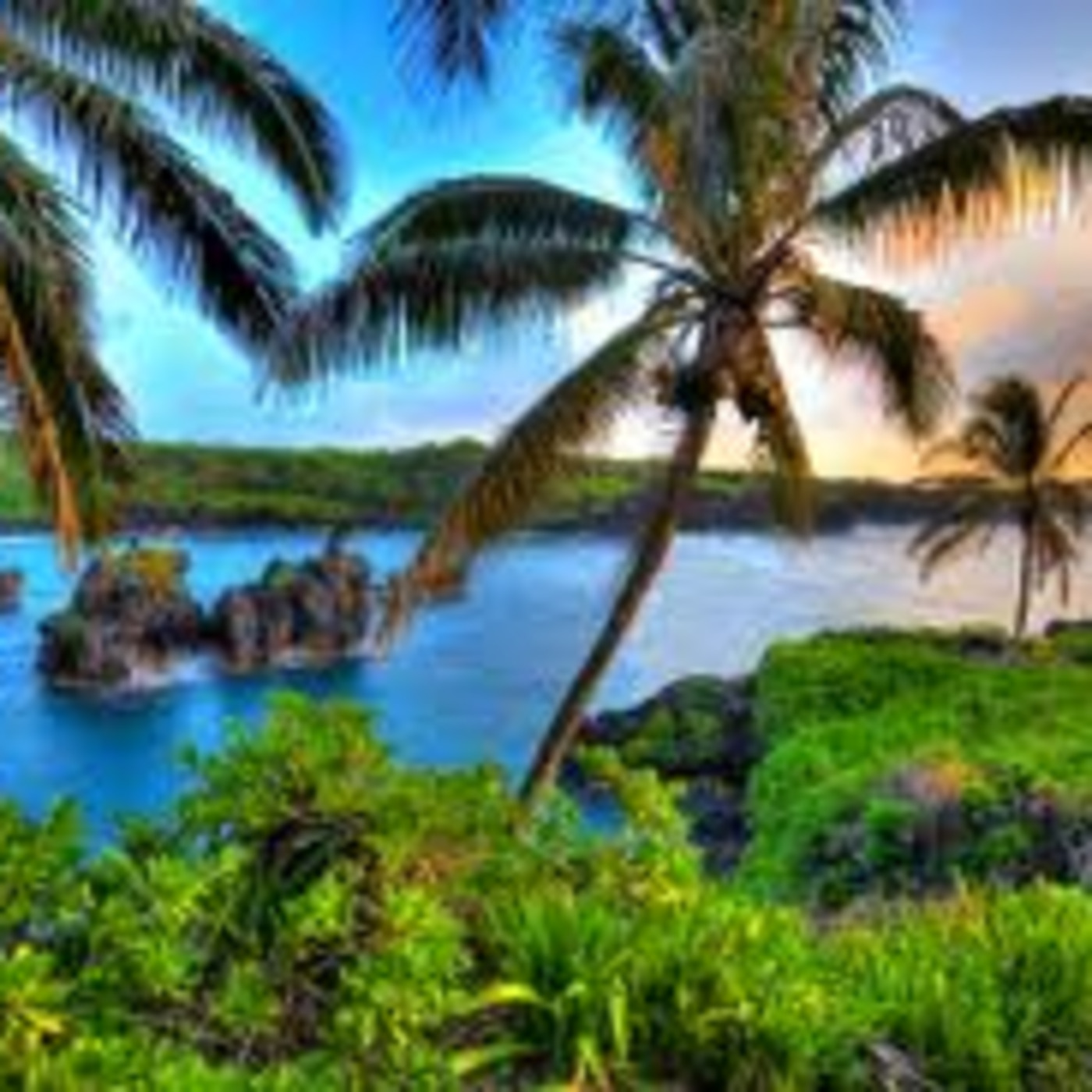 Hawaiian Delite with Honey Girl