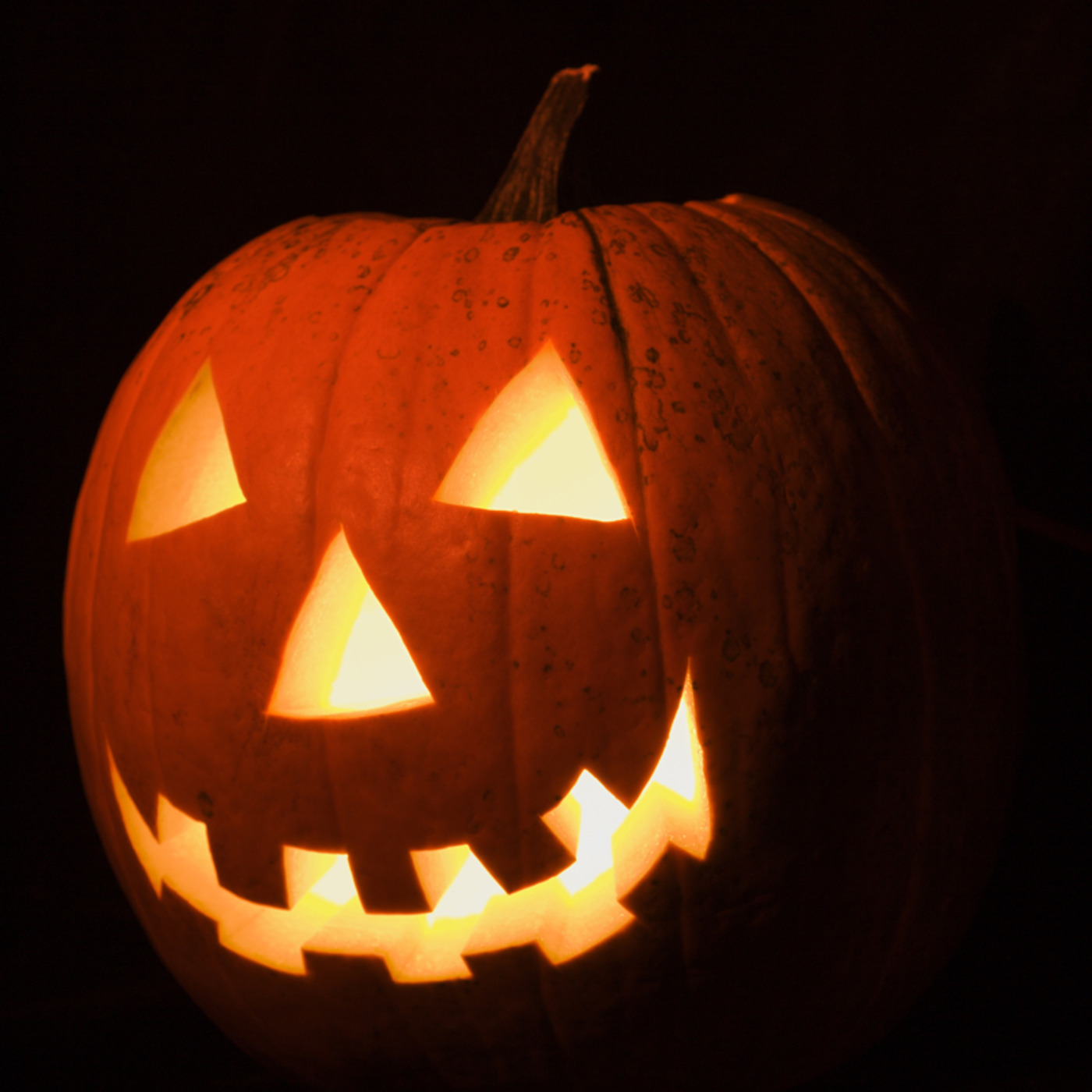 Episode 3, Thanksgiving & Hallowe'en, Fall Festivals in the Hybrid LINC Class episode artwork