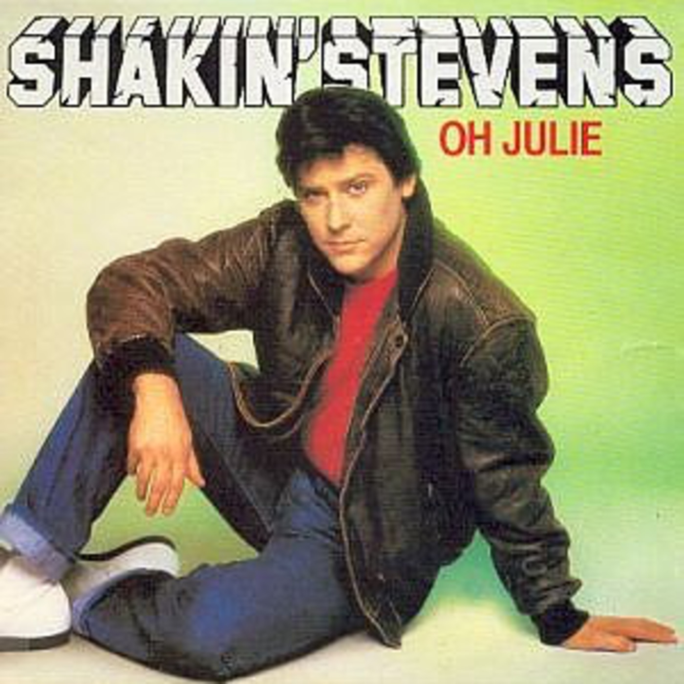 Shakin Stevens episode artwork