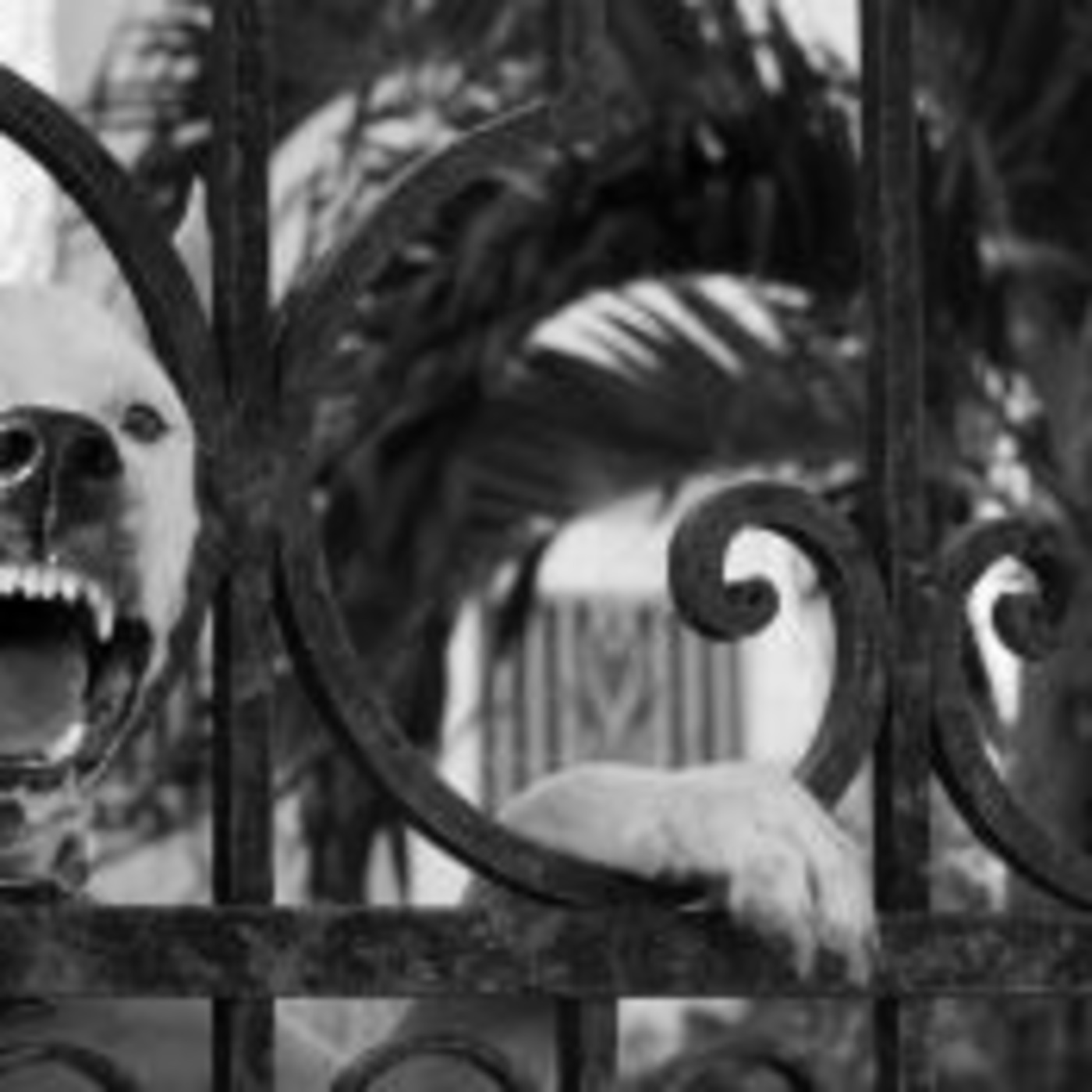 Como lidar com clientes grosseiros episode artwork