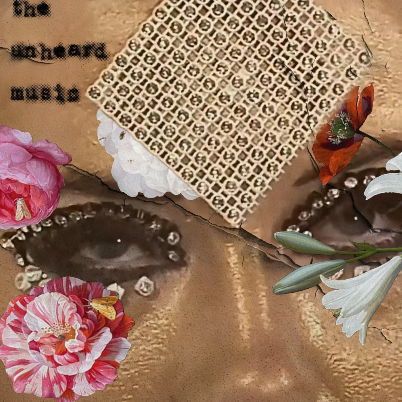 The Unheard Music