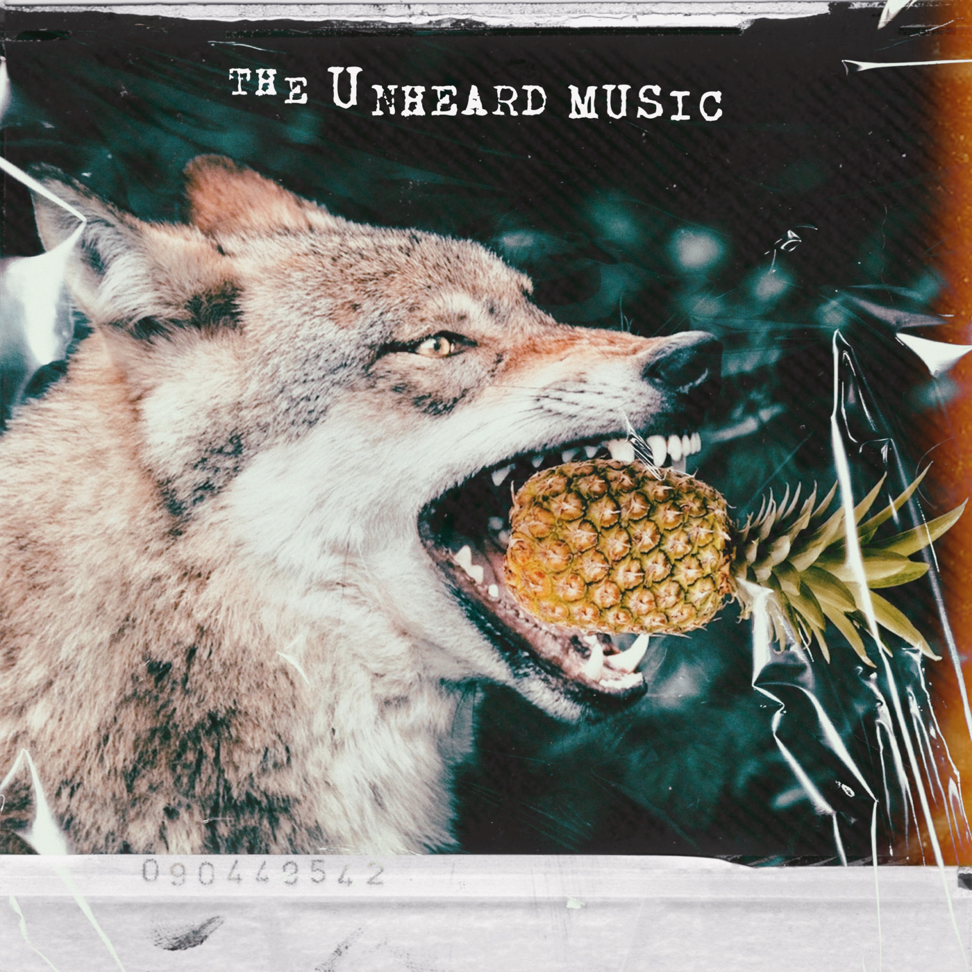 The Unheard Music