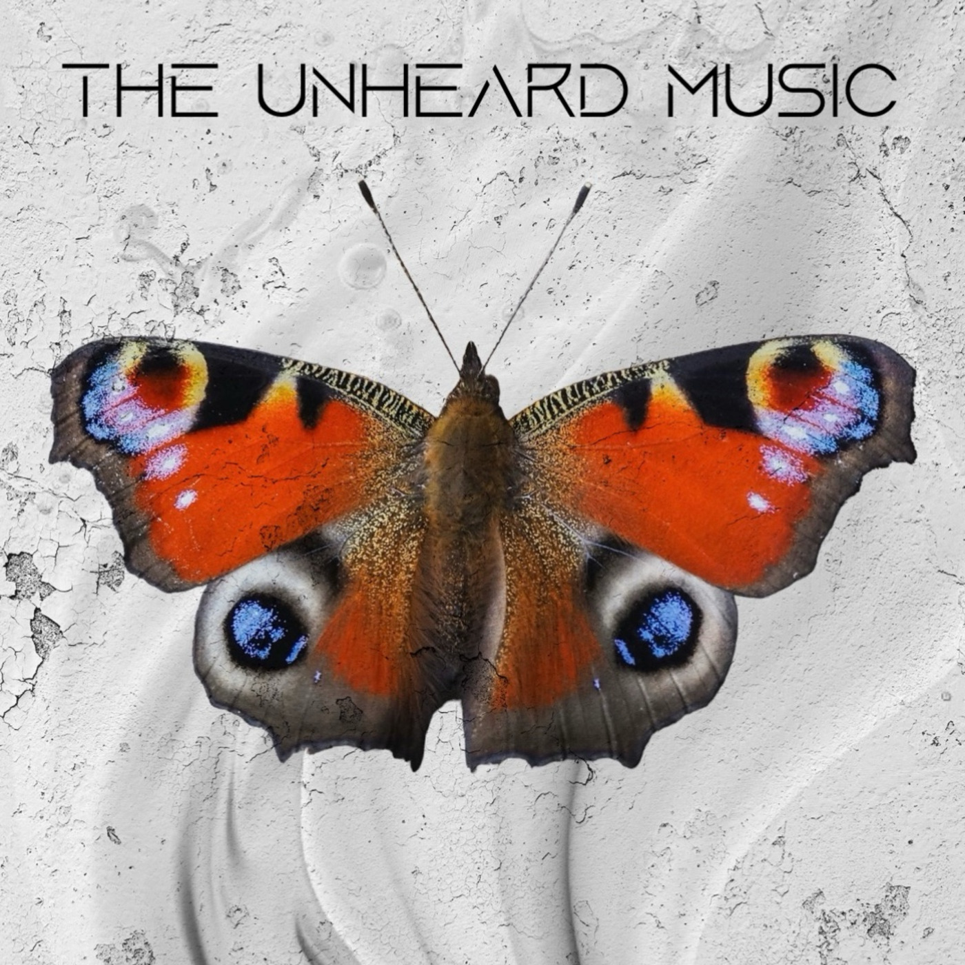 The Unheard Music