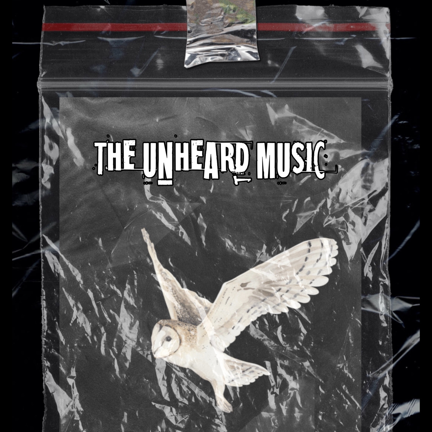 The Unheard Music