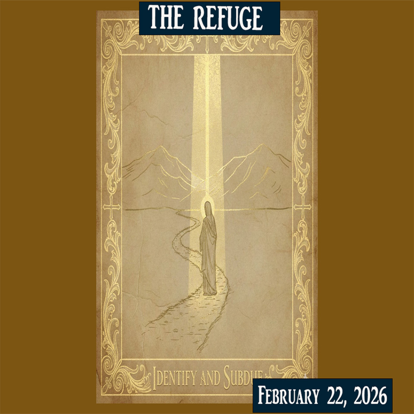 Episode 335: 02-22-25 Identify and Subdue episode artwork