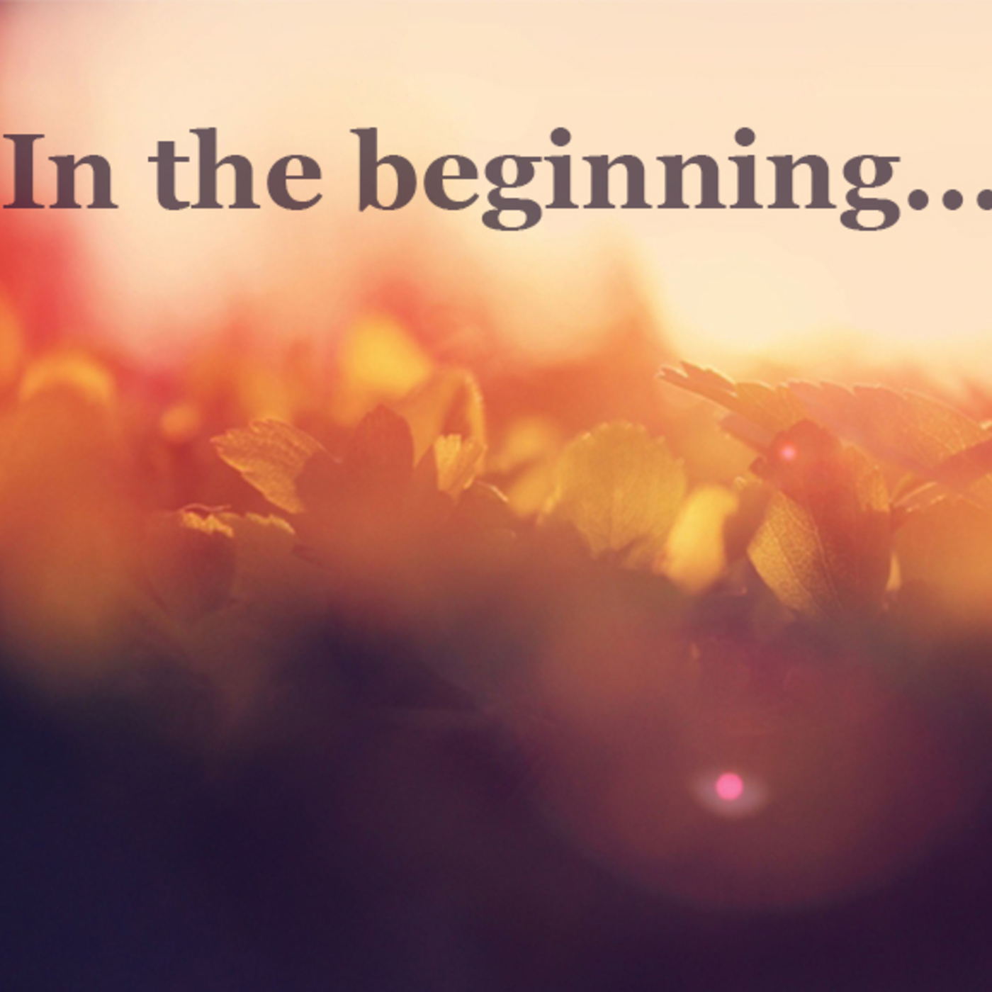 Genesis 1b- In the Beginning God Created (part 2) episode artwork