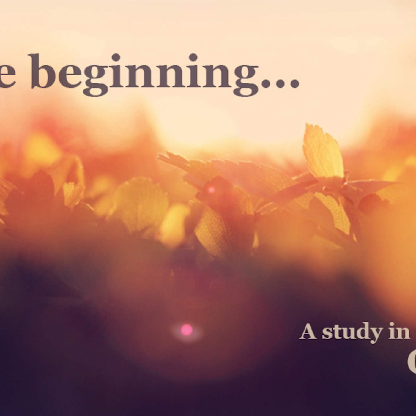 Genesis 1- In the Beginning God Created episode artwork