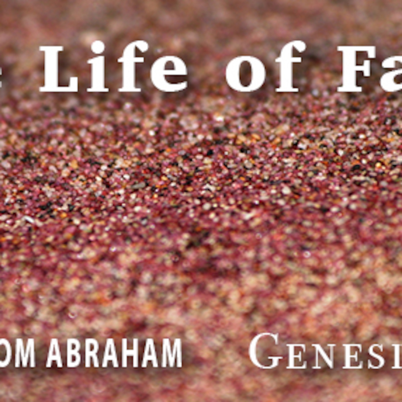 Genesis 13- Faith-Filled Choices