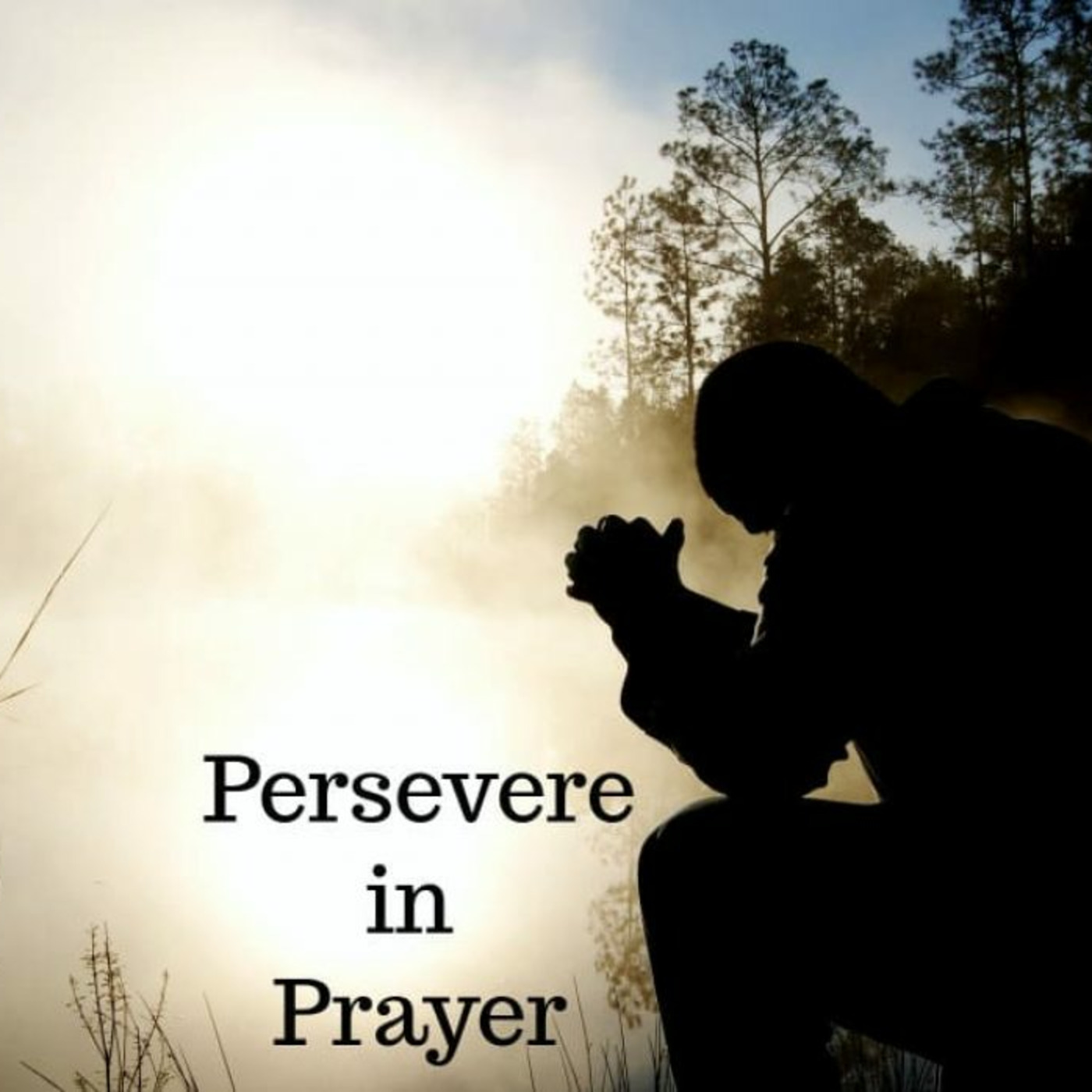 Dr. / Pastor Patrick Nyaga\'s Podcast