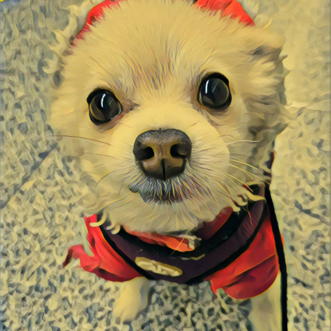 house music by dattrax