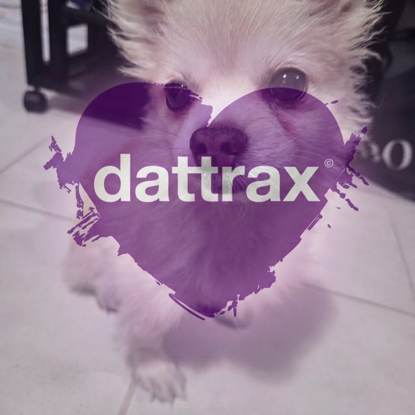 house music by dattrax