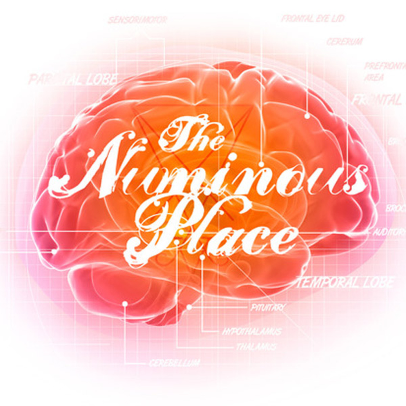 Episode 14 - Numinous Place