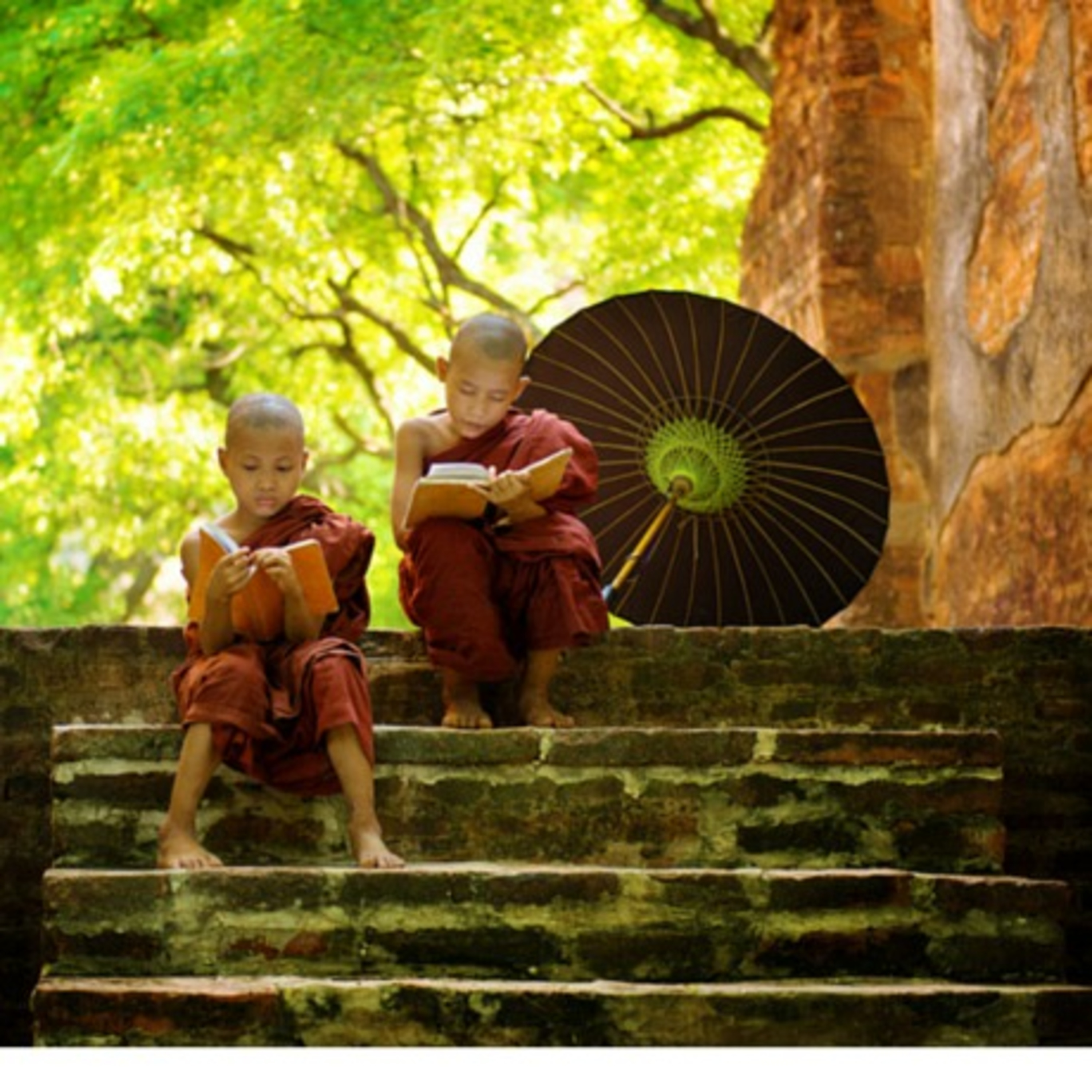 Transmedia Storytelling