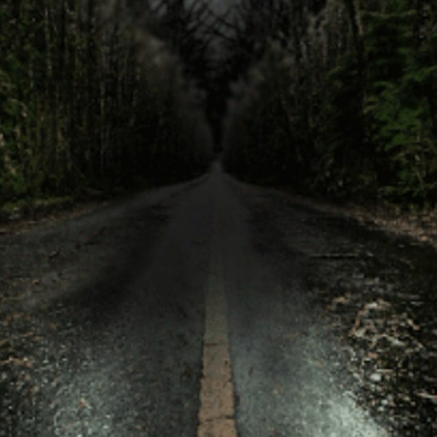 Episode 53: The Trip Home