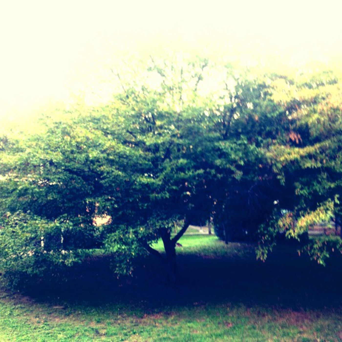 Liebesleben (Enjoy life)