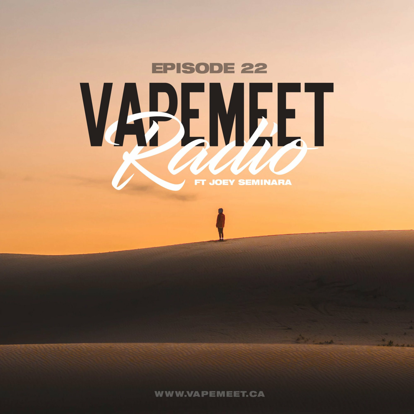 VapeMeet Radio