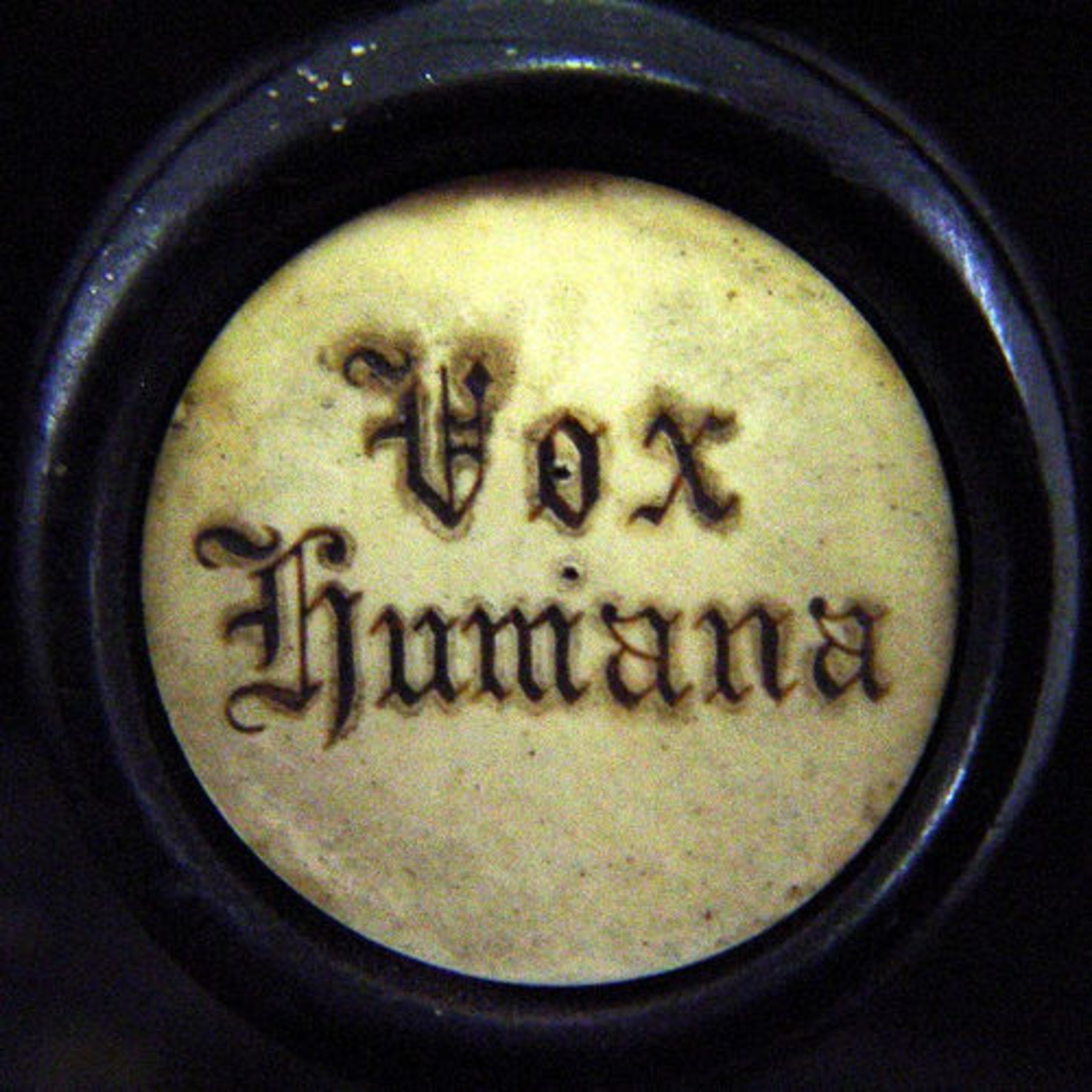 Vox Humana podcast artwork