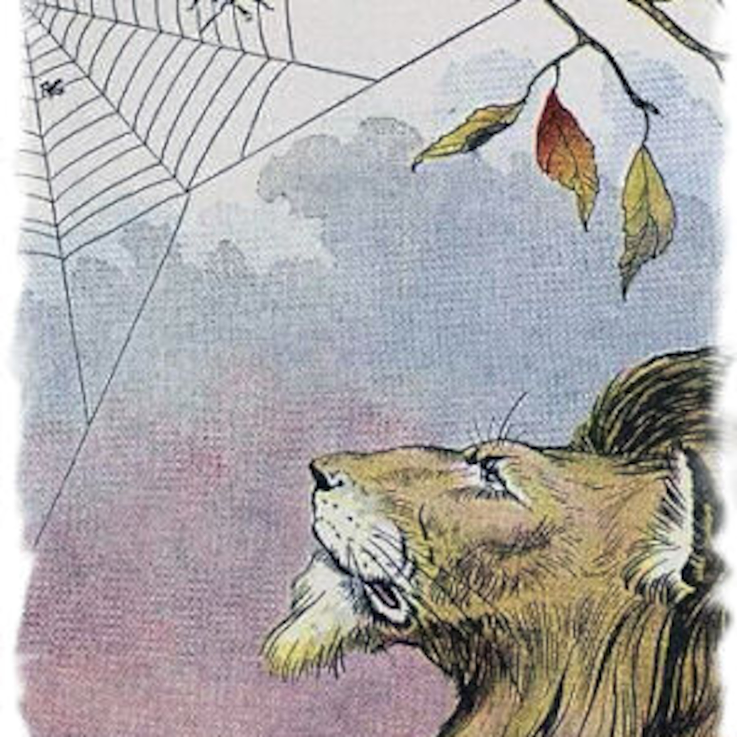 Il Leone e il Moscerino - Elisa episode artwork