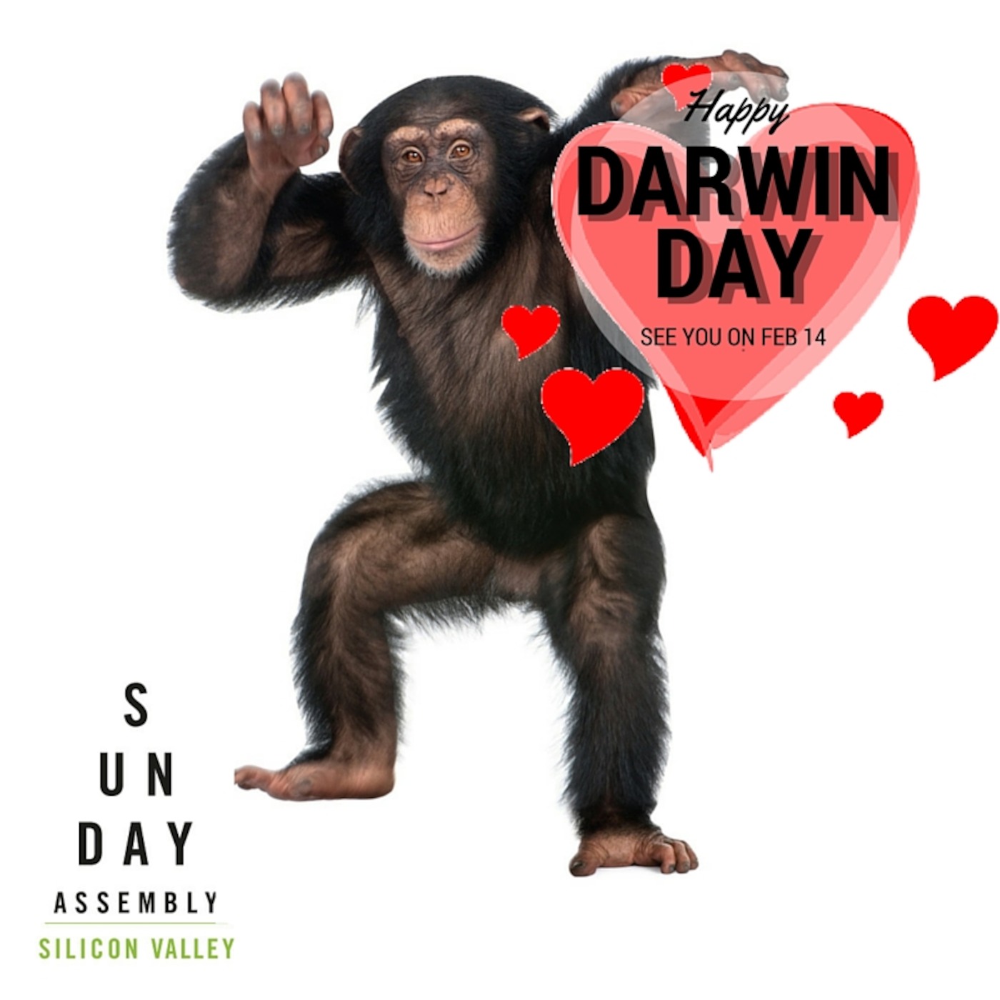 Episode 3 - Darwin Day with Dr Lynn Rothschild