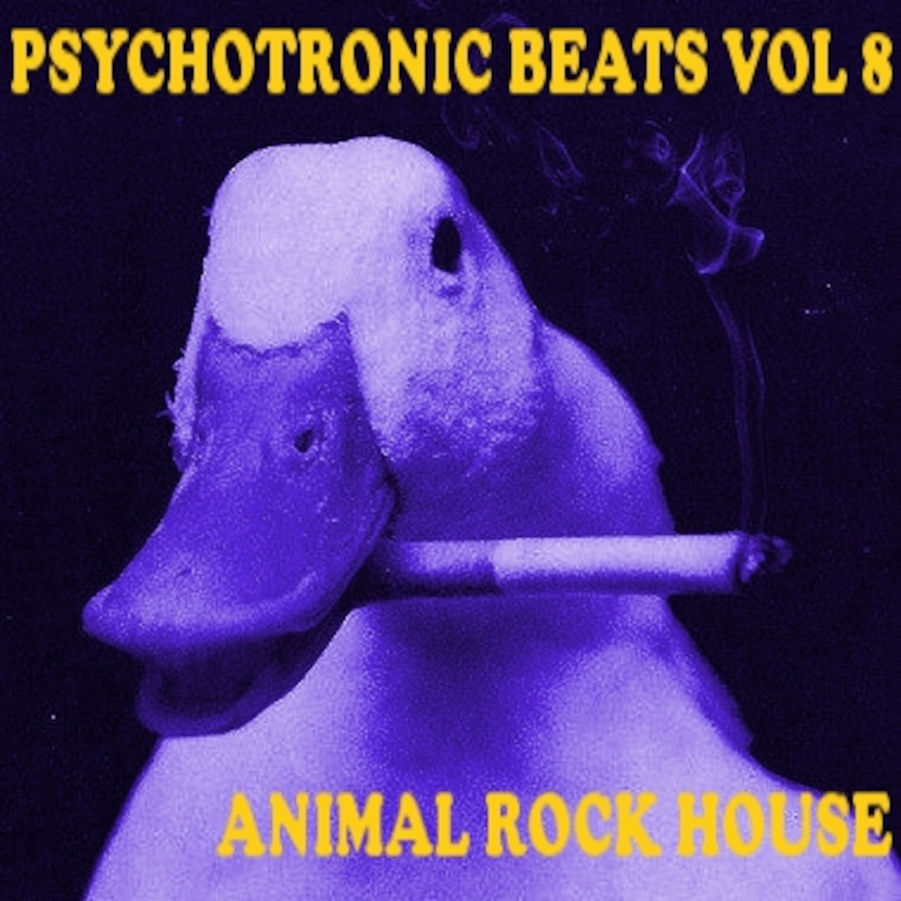 Psychotronic Beats