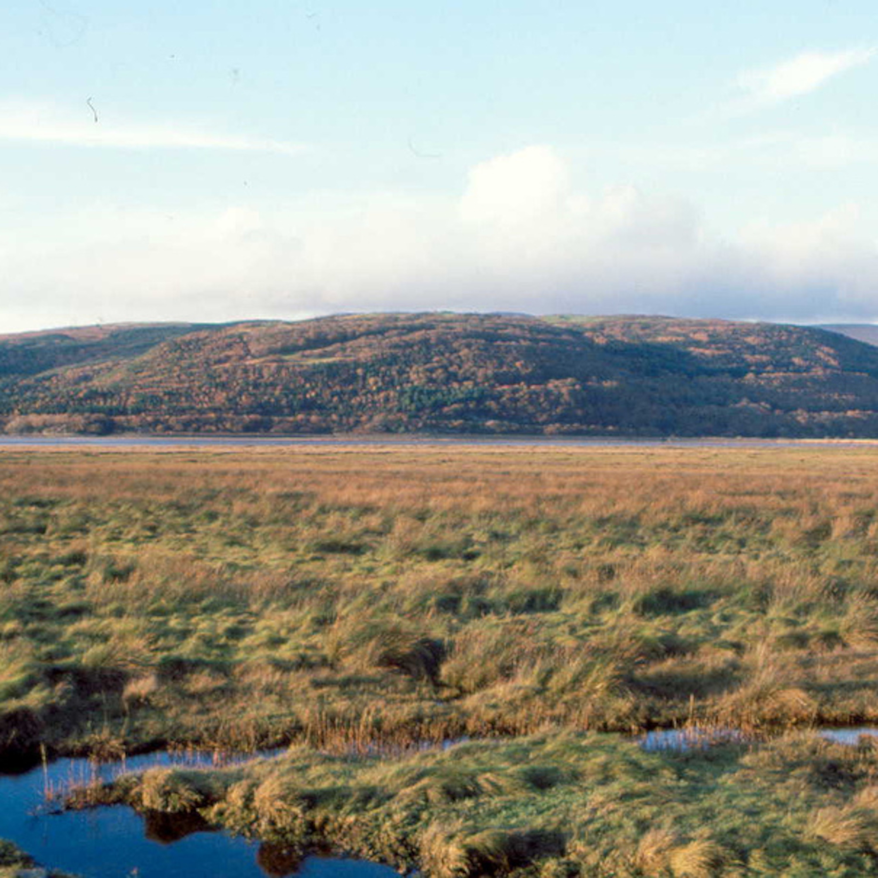 Podcast værkstedet af Anne Fox