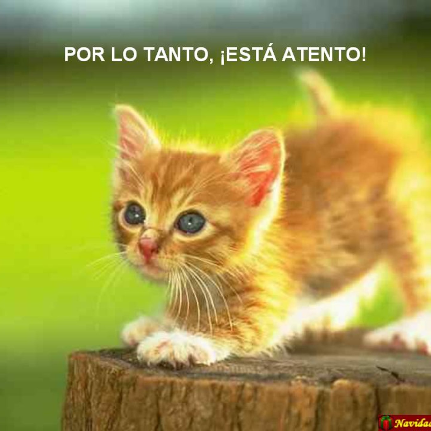 Feliz Año 2010