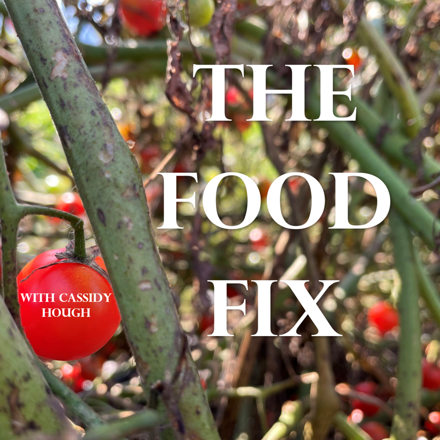 The Food Fix
