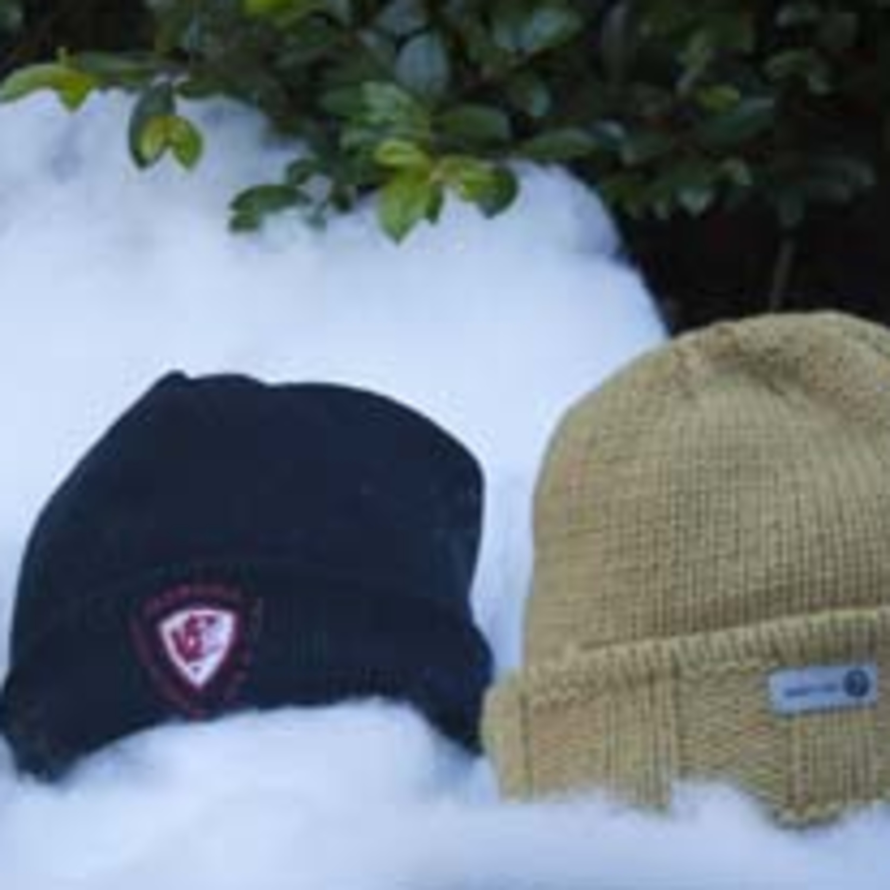 Quirky & Chenille