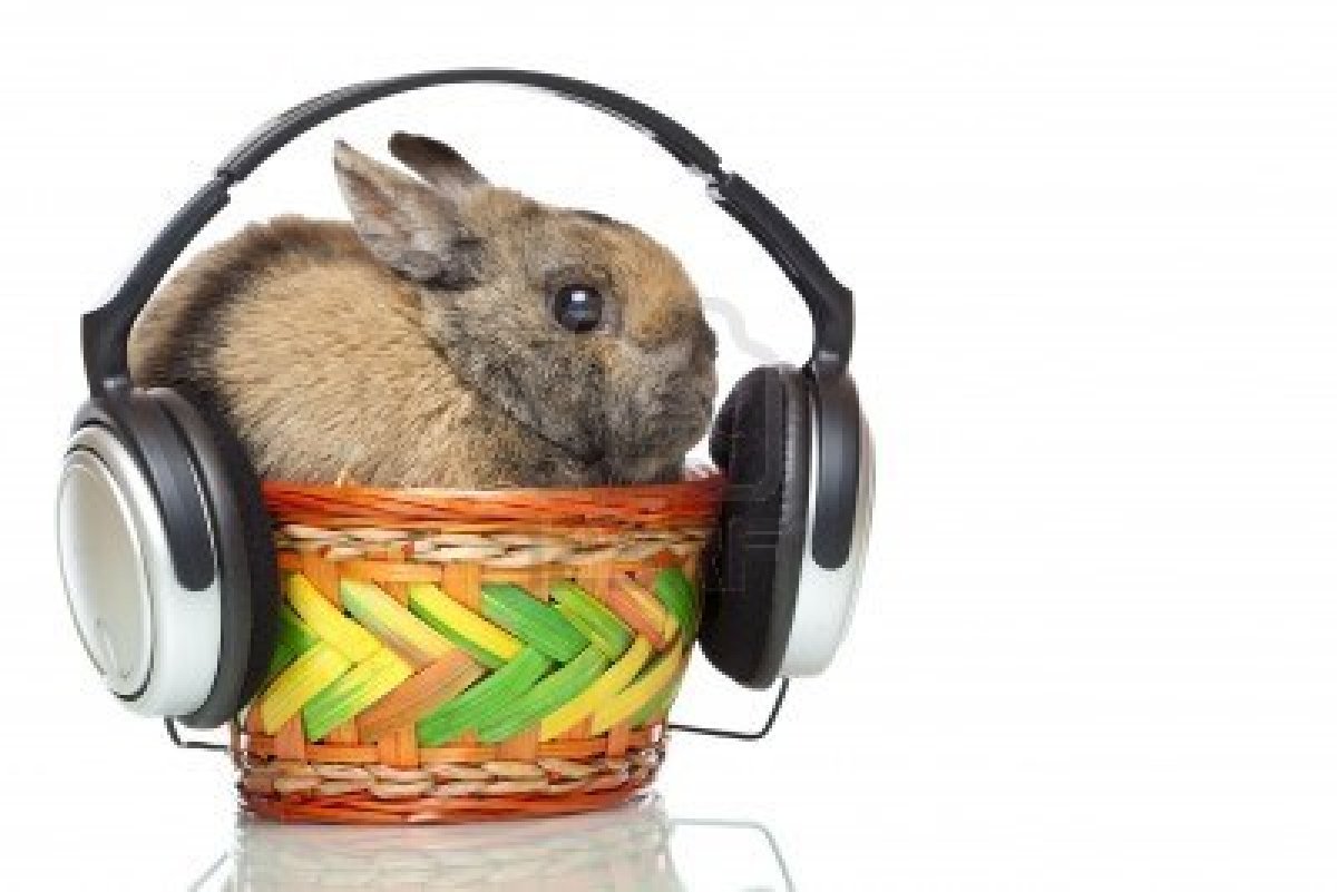 Lee Mayjahs? DJ Mixes
