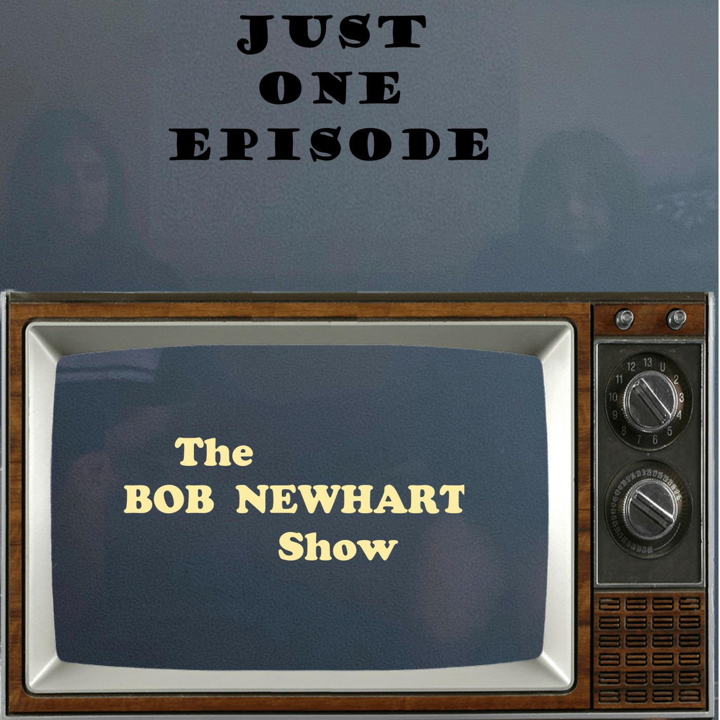 The Bob Newhart Show