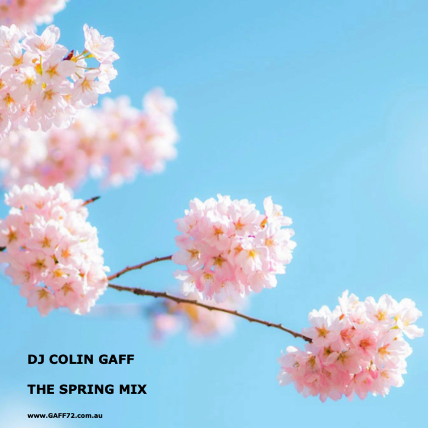 Episode 210: THE SPRING MIX episode artwork