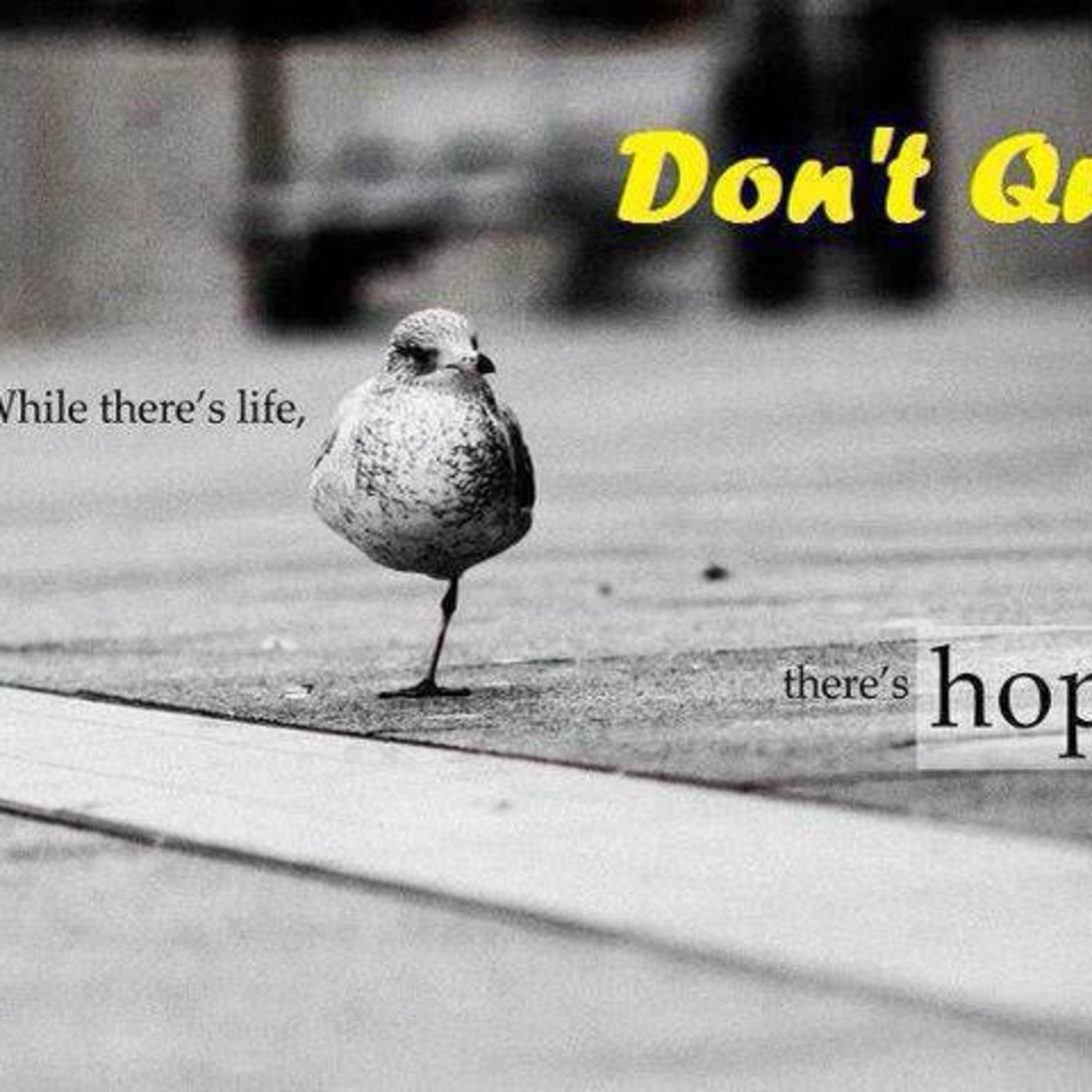 Do not quit -  Be hopeful - June 26 episode artwork