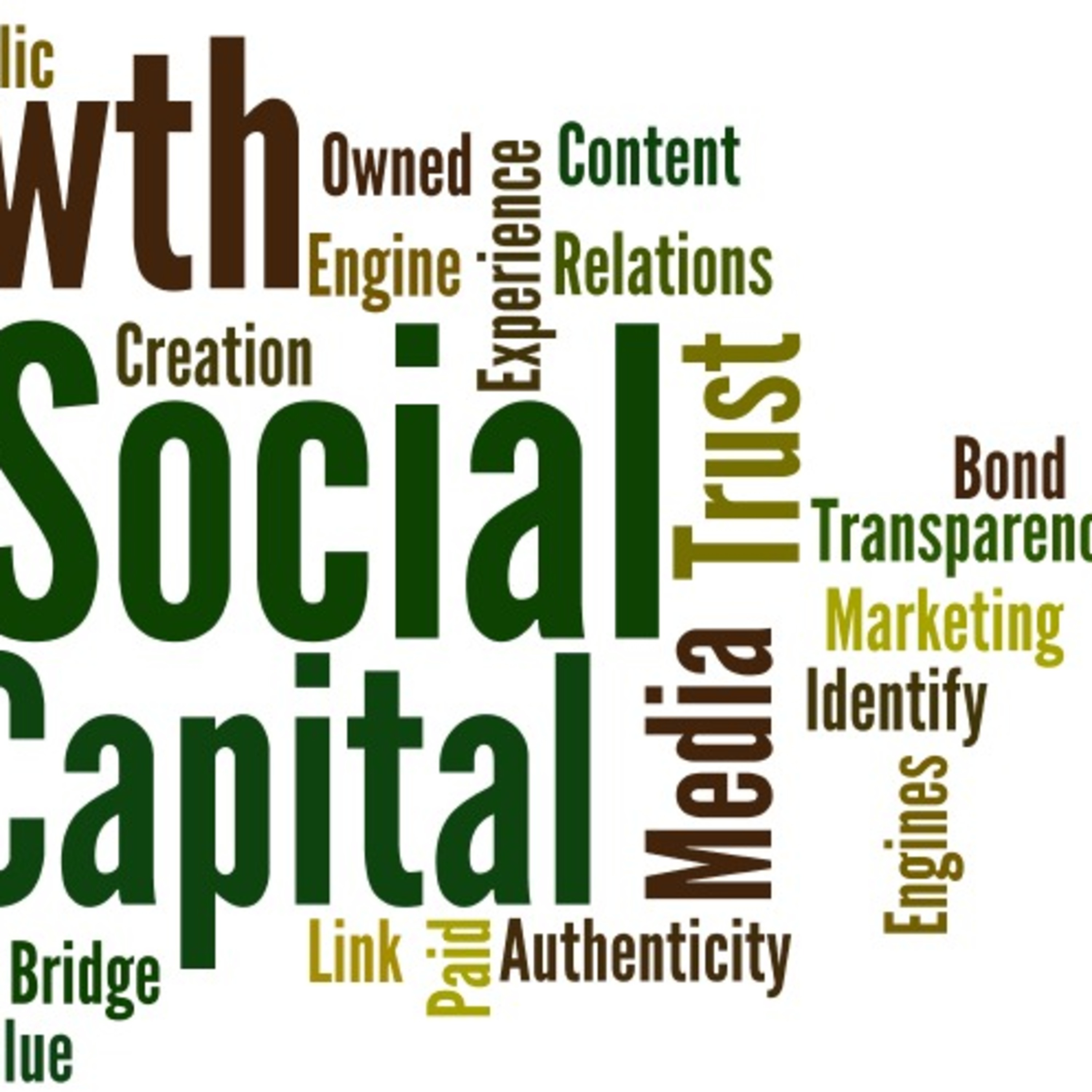 Understanding Social Capital - Social Media episode artwork