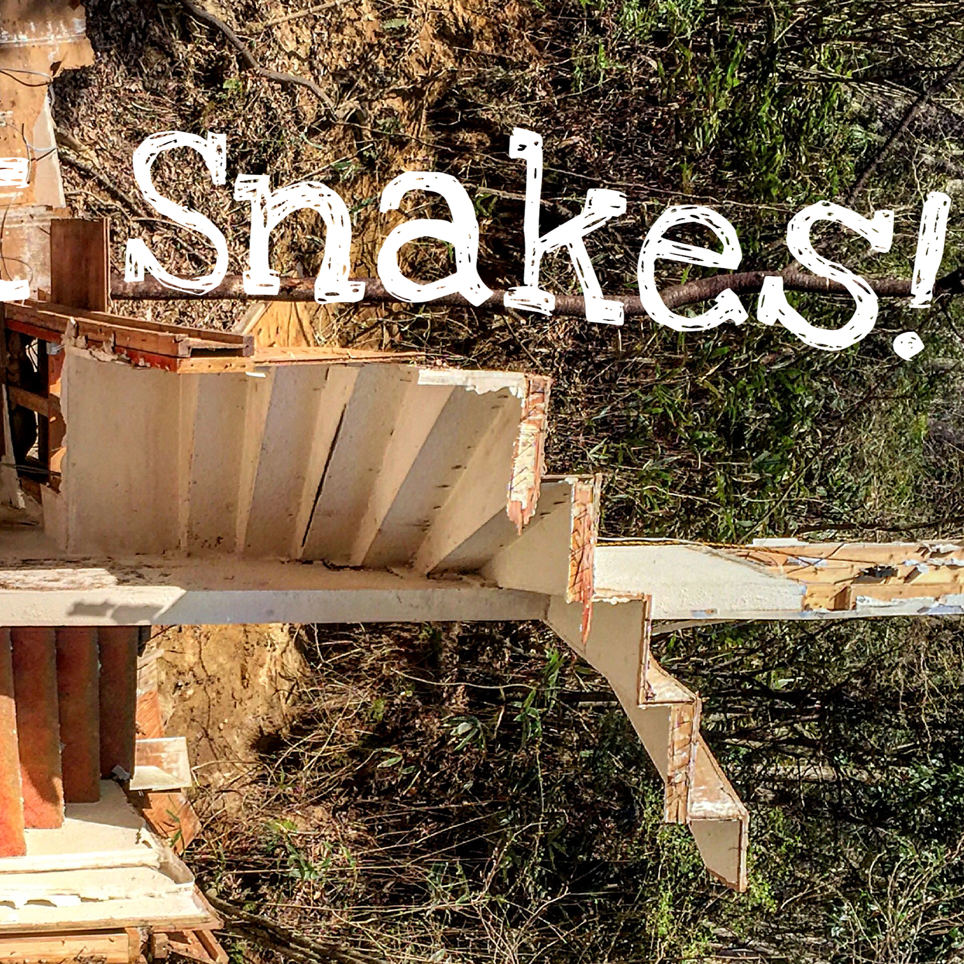 Great Snakes! episode artwork