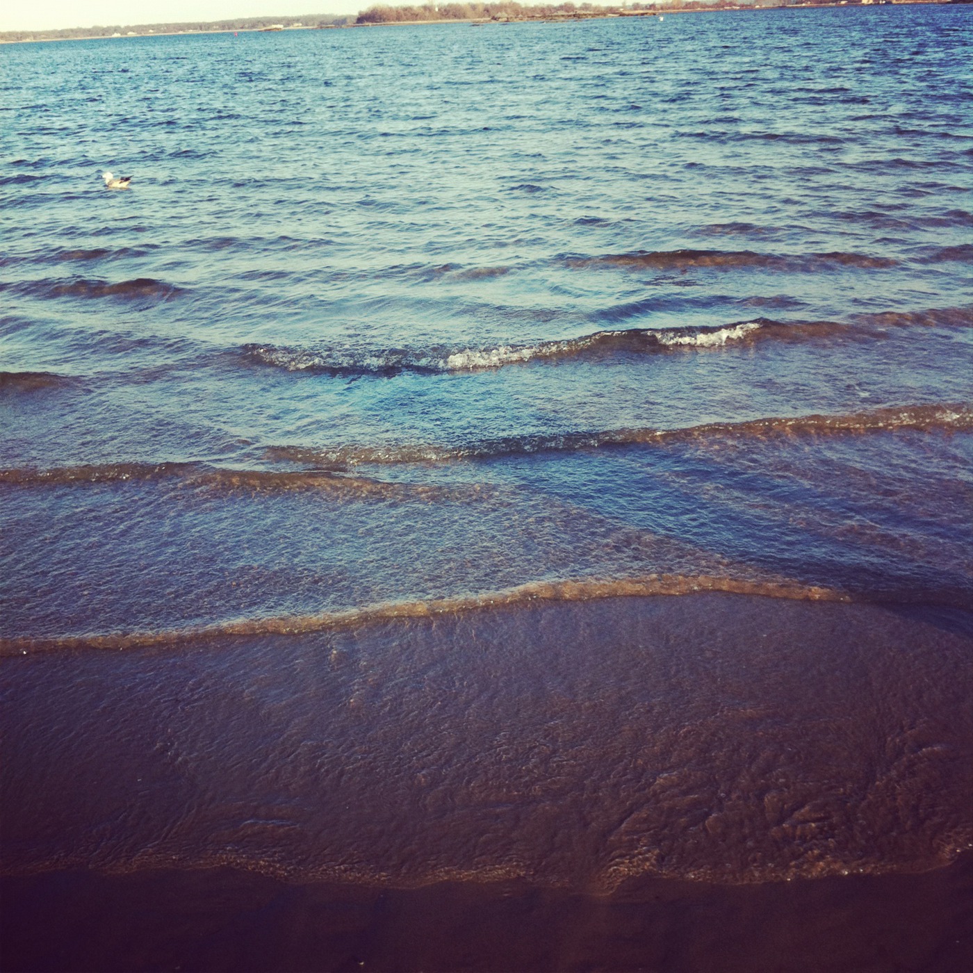 The Wave - October 2012